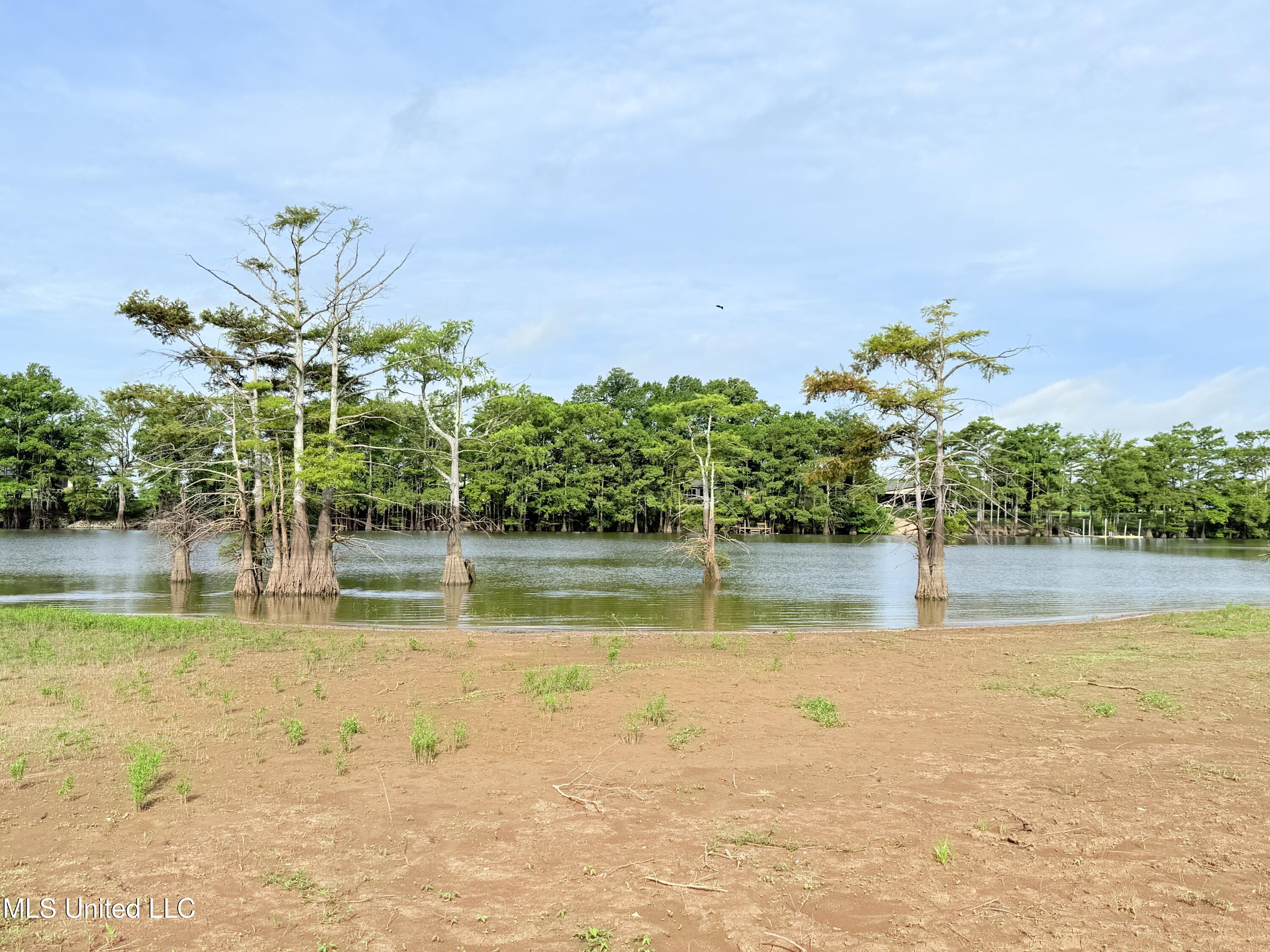 001 Deerfield Road Property Photo 36