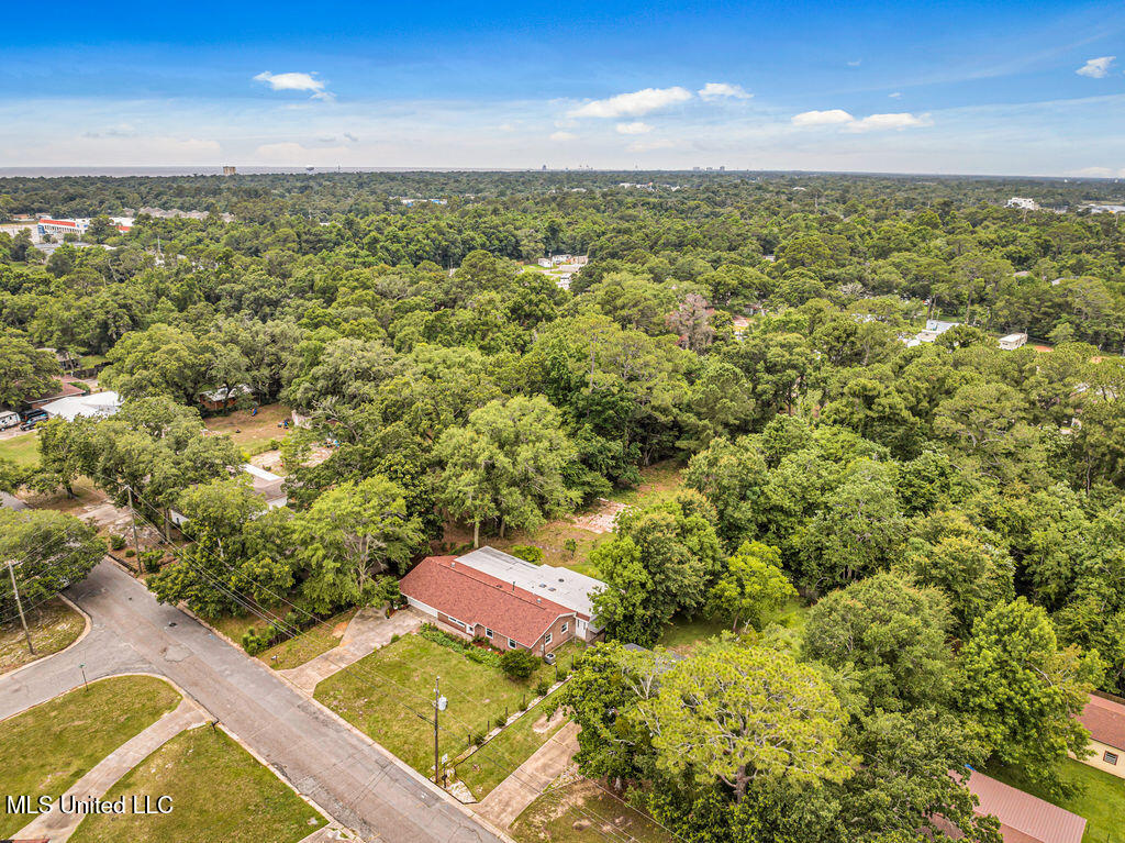 931 Brown Street Property Photo 30