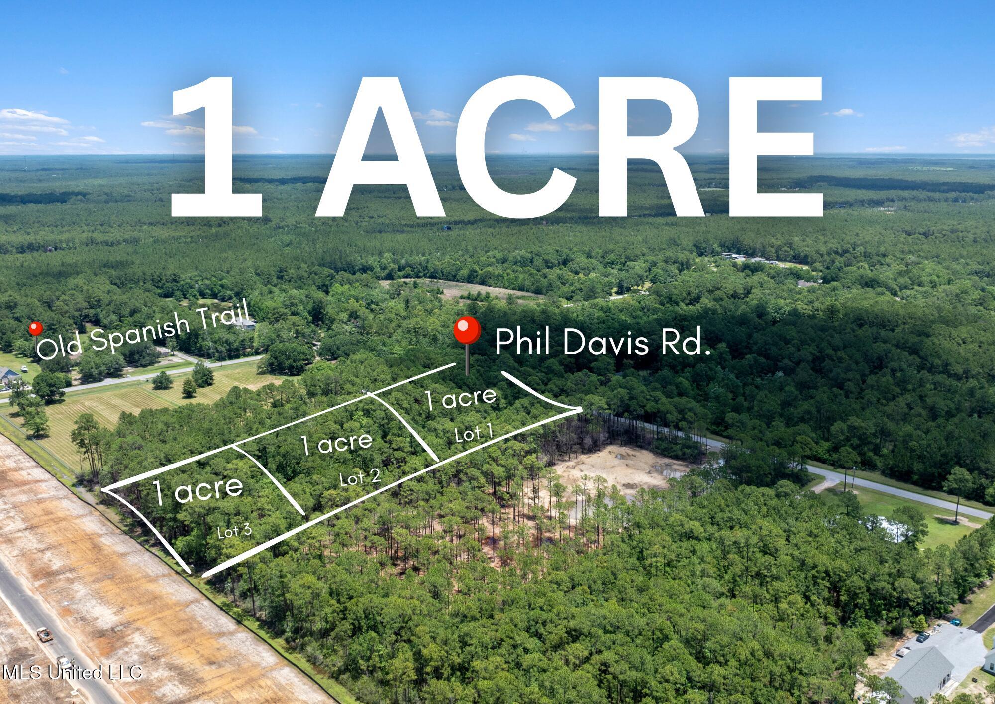 0 Phil Davis Road Property Photo 1