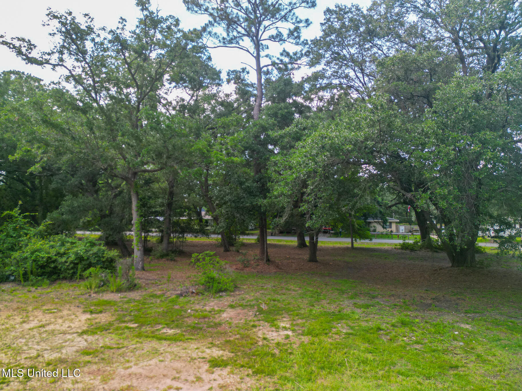 Lot 1 Johnson Road Property Photo 9