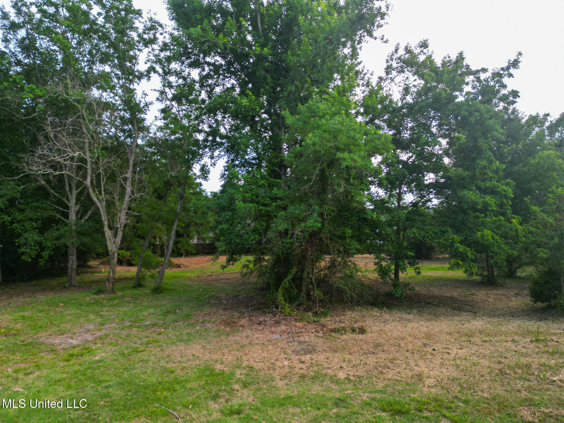 Lot 3 Johnson Road Property Photo 8