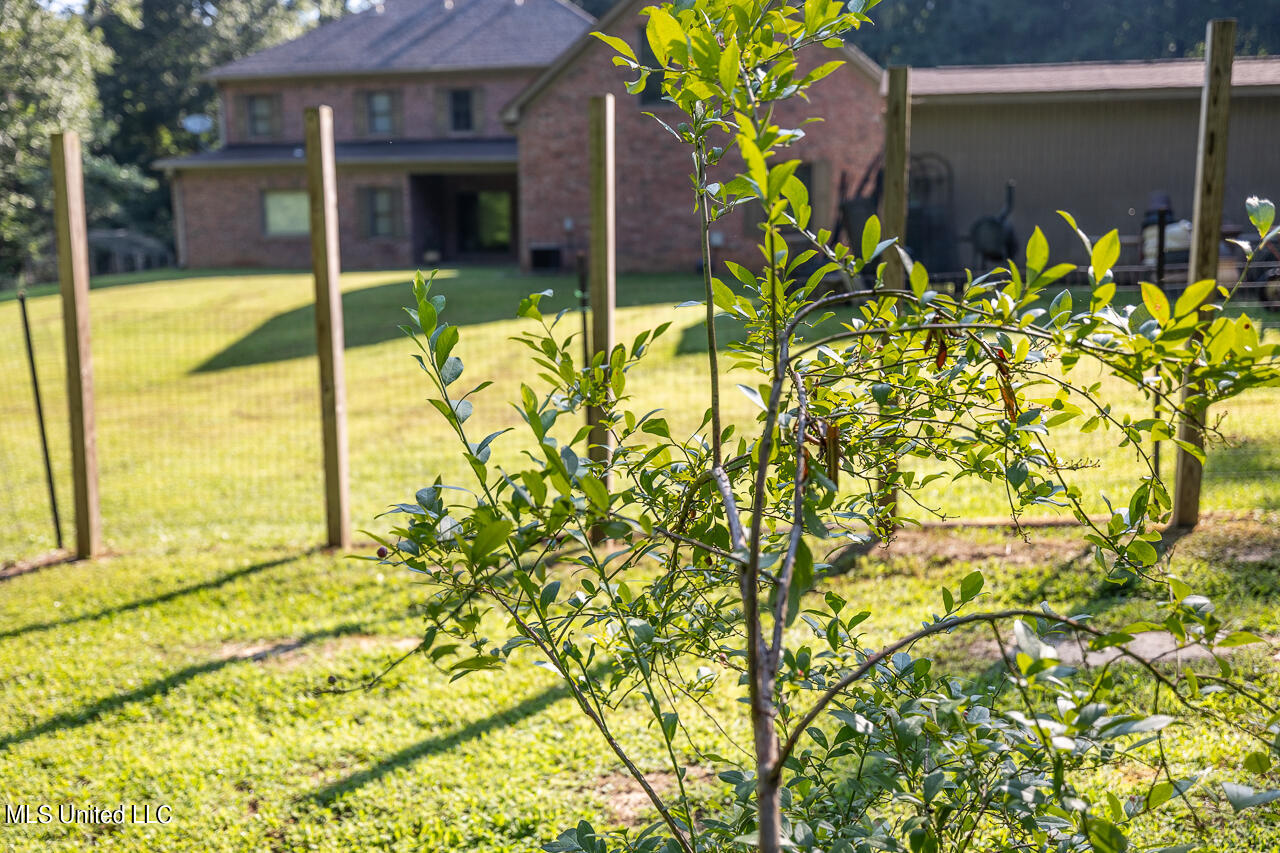3981 Pleasant Hill Road Property Photo 30
