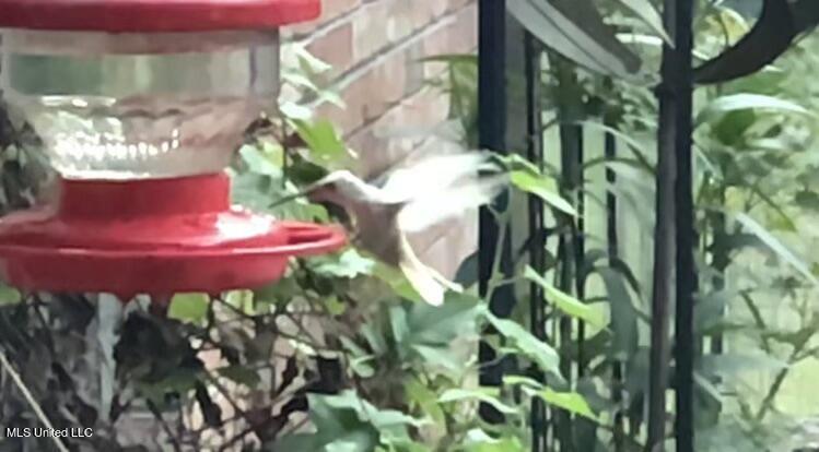 3981 Pleasant Hill Road Property Photo 32