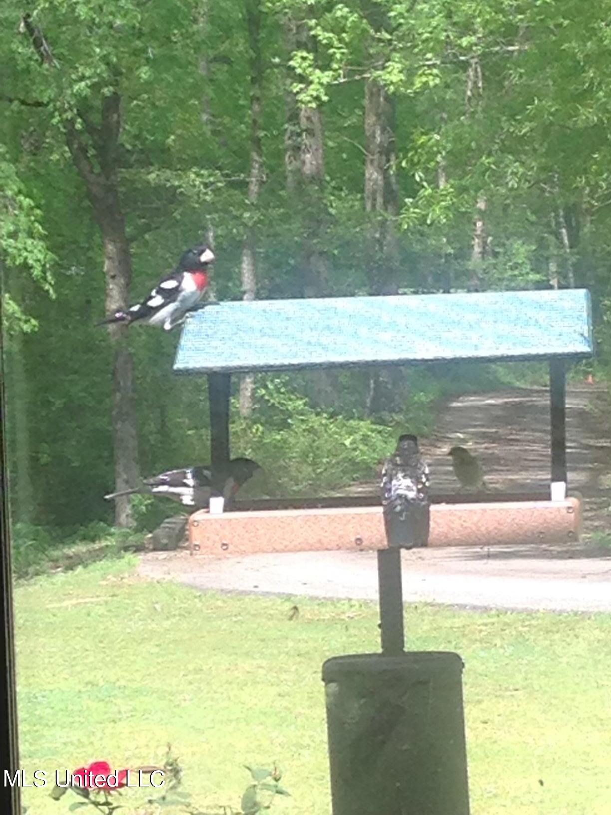 3981 Pleasant Hill Road Property Photo 33