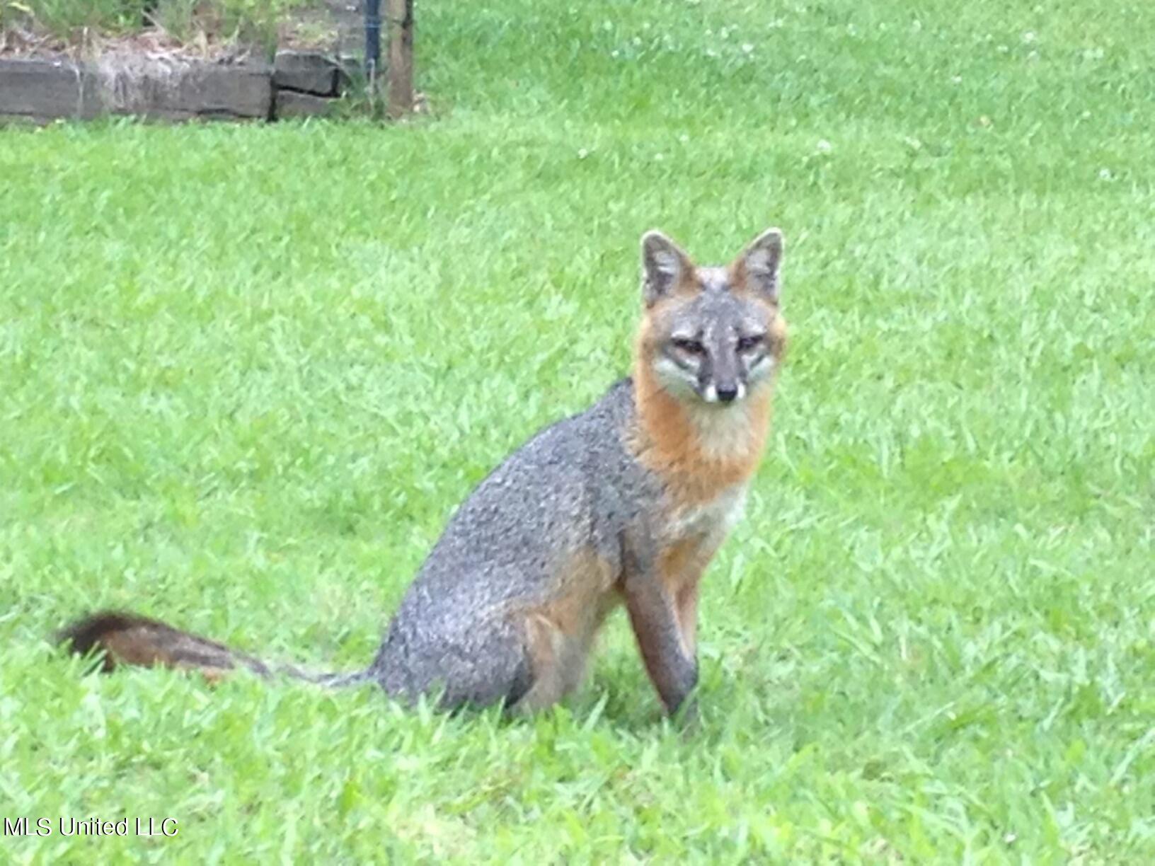 3981 Pleasant Hill Road Property Photo 38