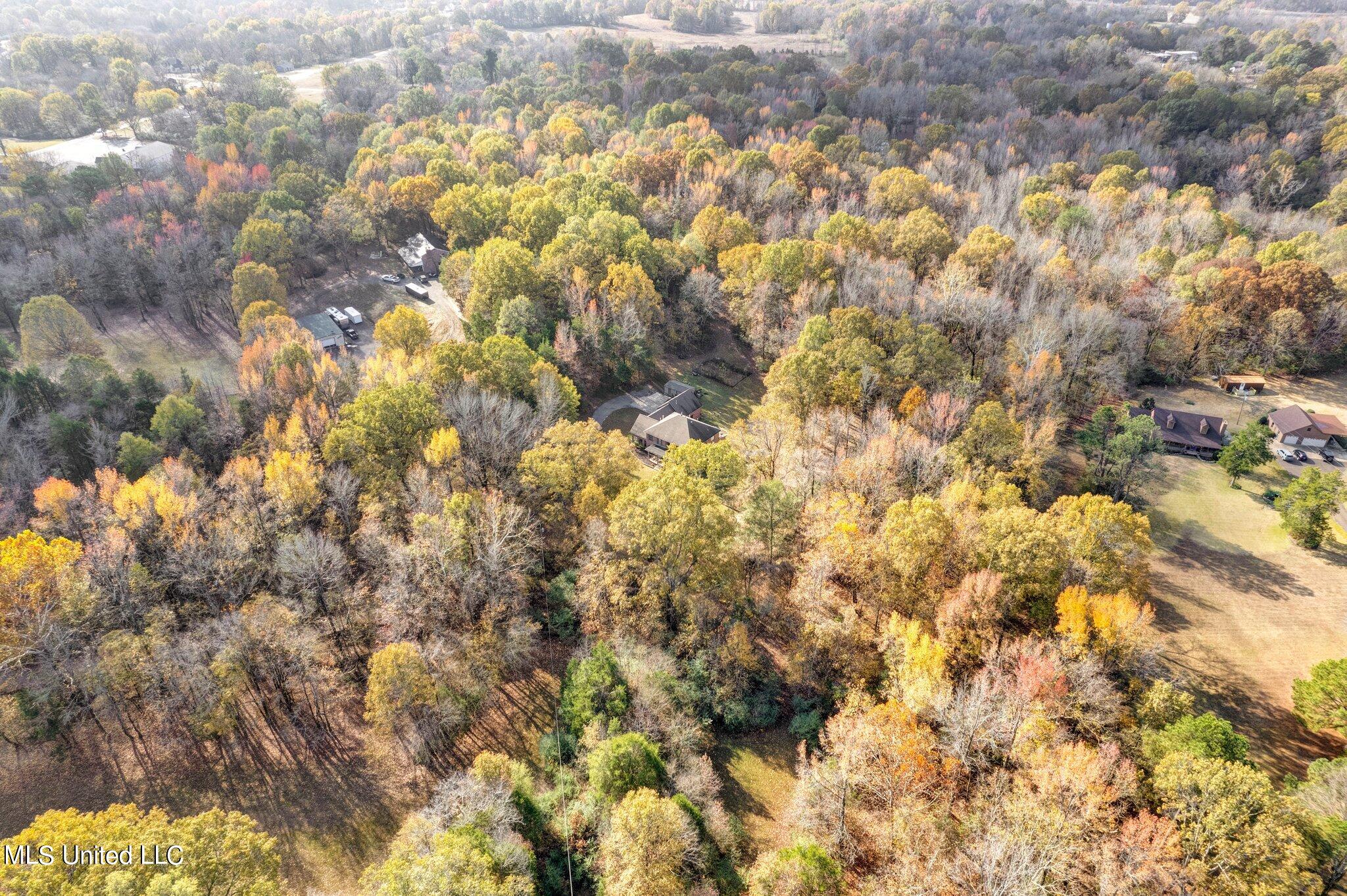 3981 Pleasant Hill Road Property Photo 44