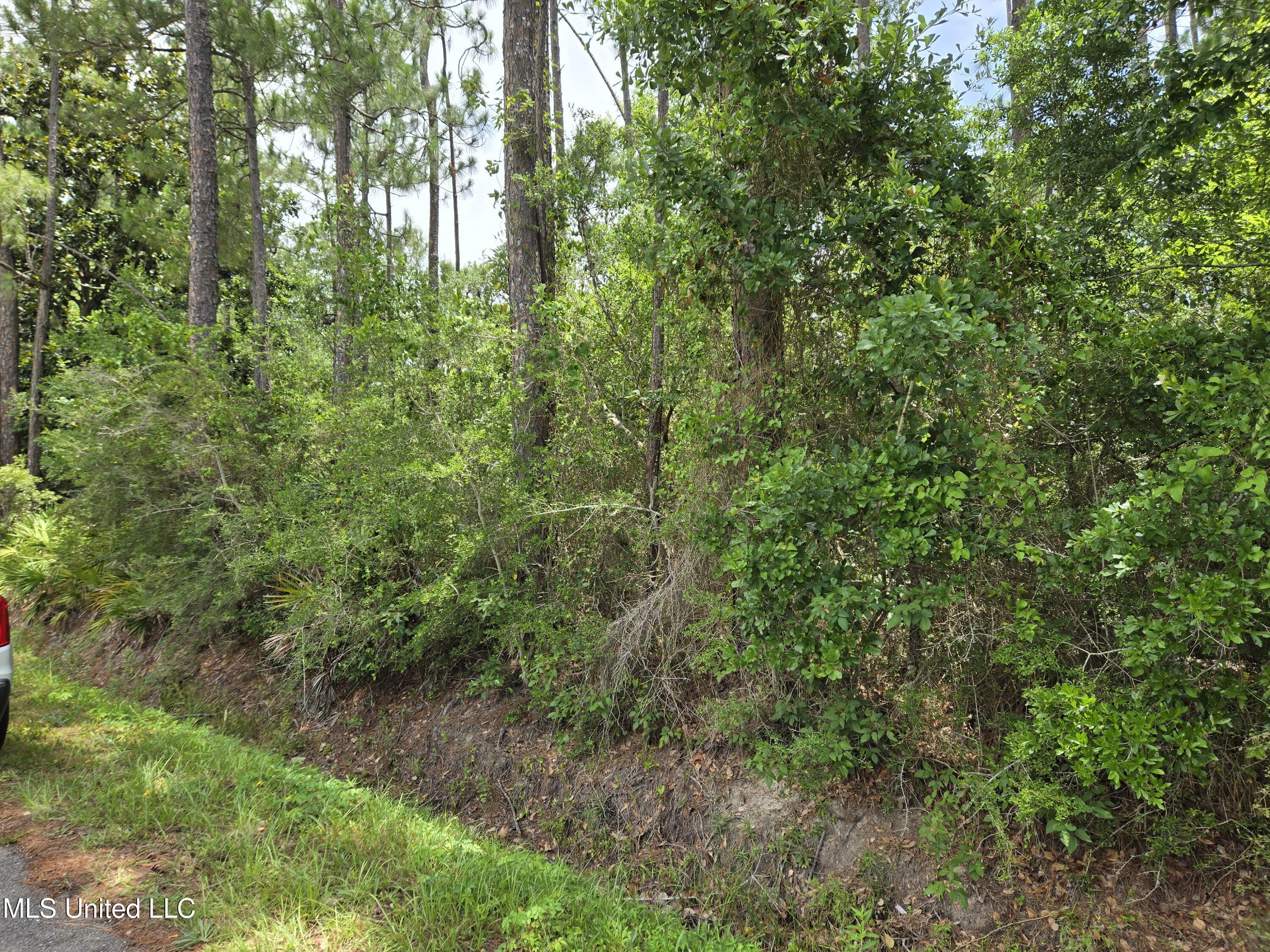 Nhn Helene Drive Property Photo 3