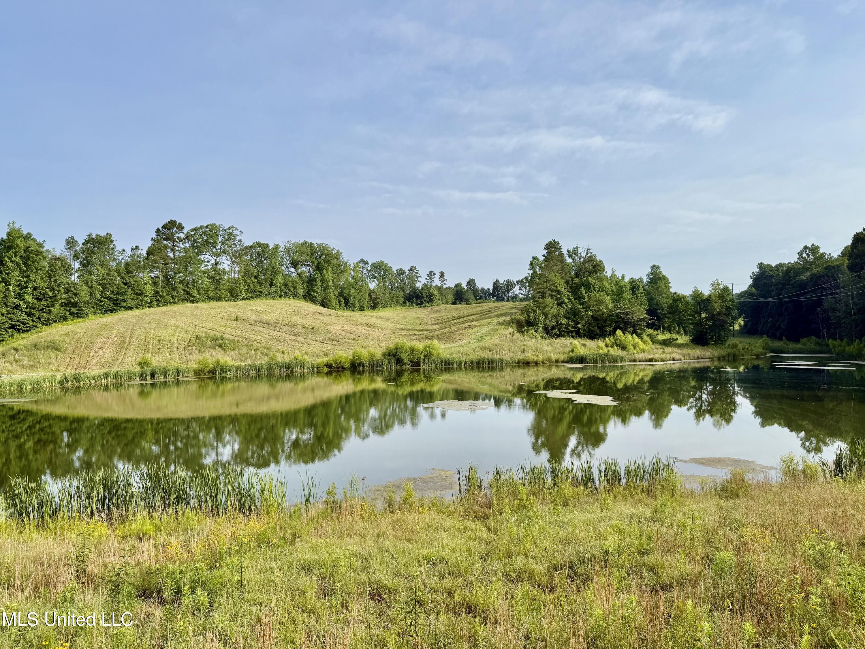 385 Albert Mcmillin Road Property Photo 1