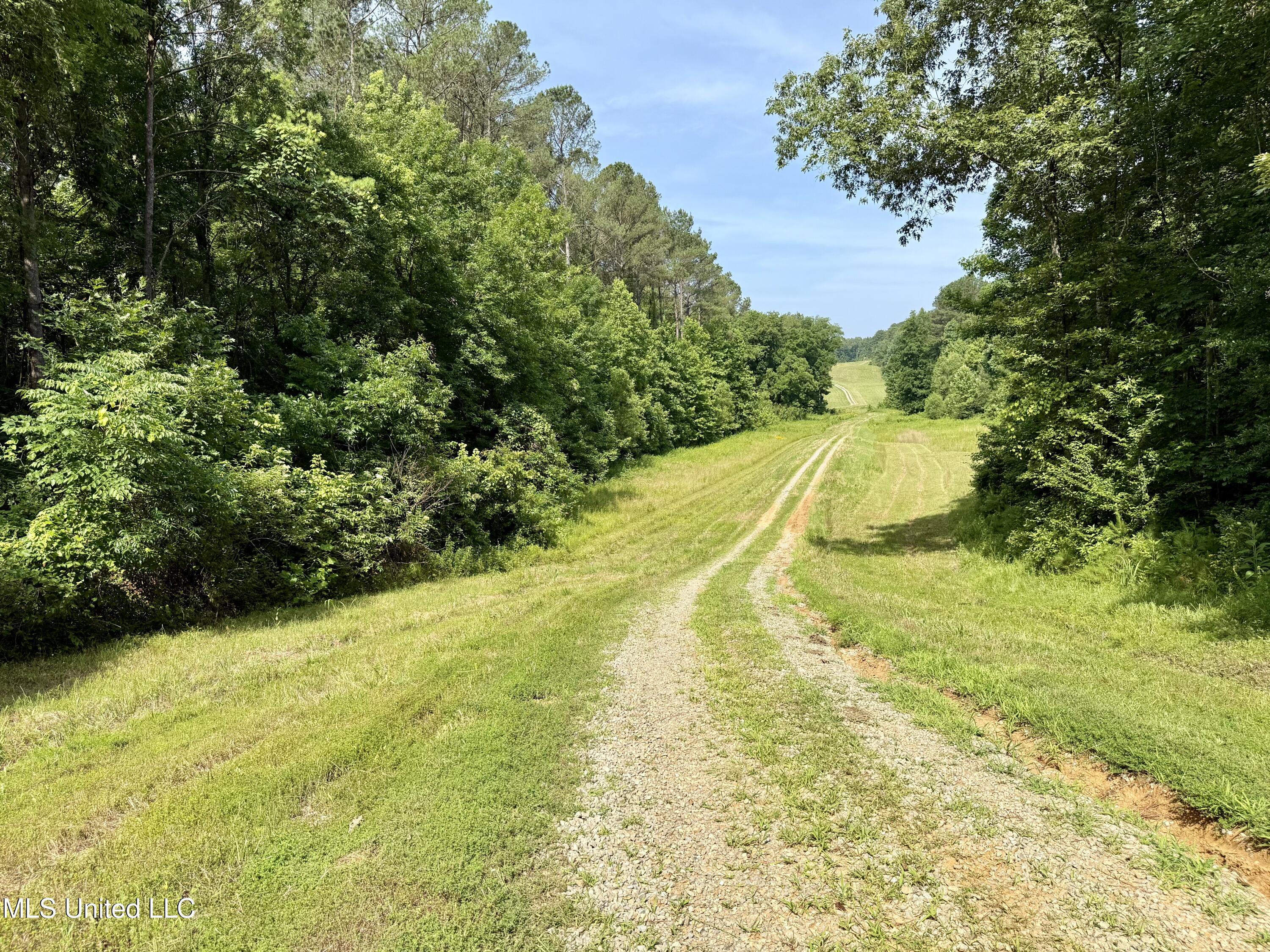385 Albert Mcmillin Road Property Photo 6