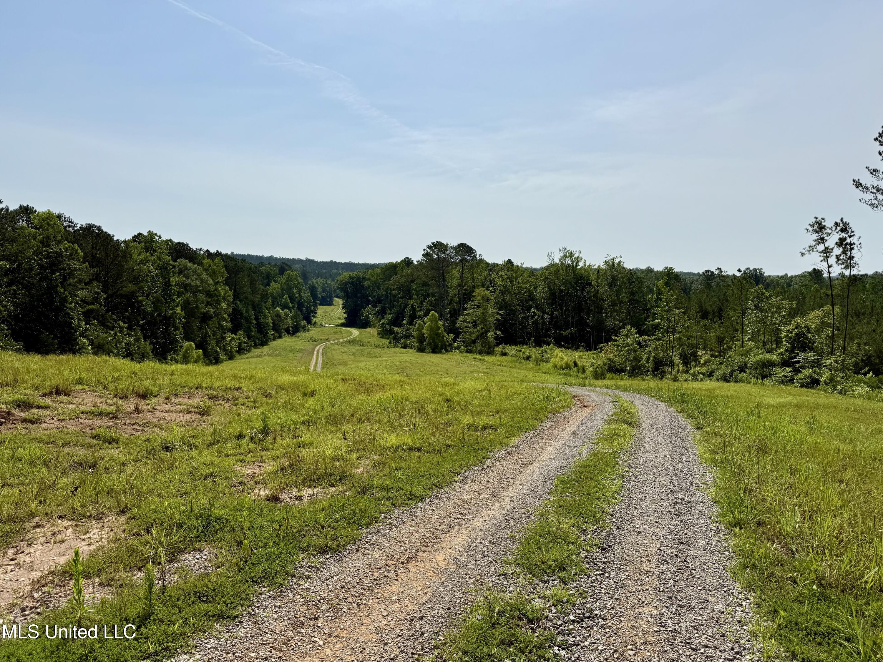 385 Albert Mcmillin Road Property Photo 7