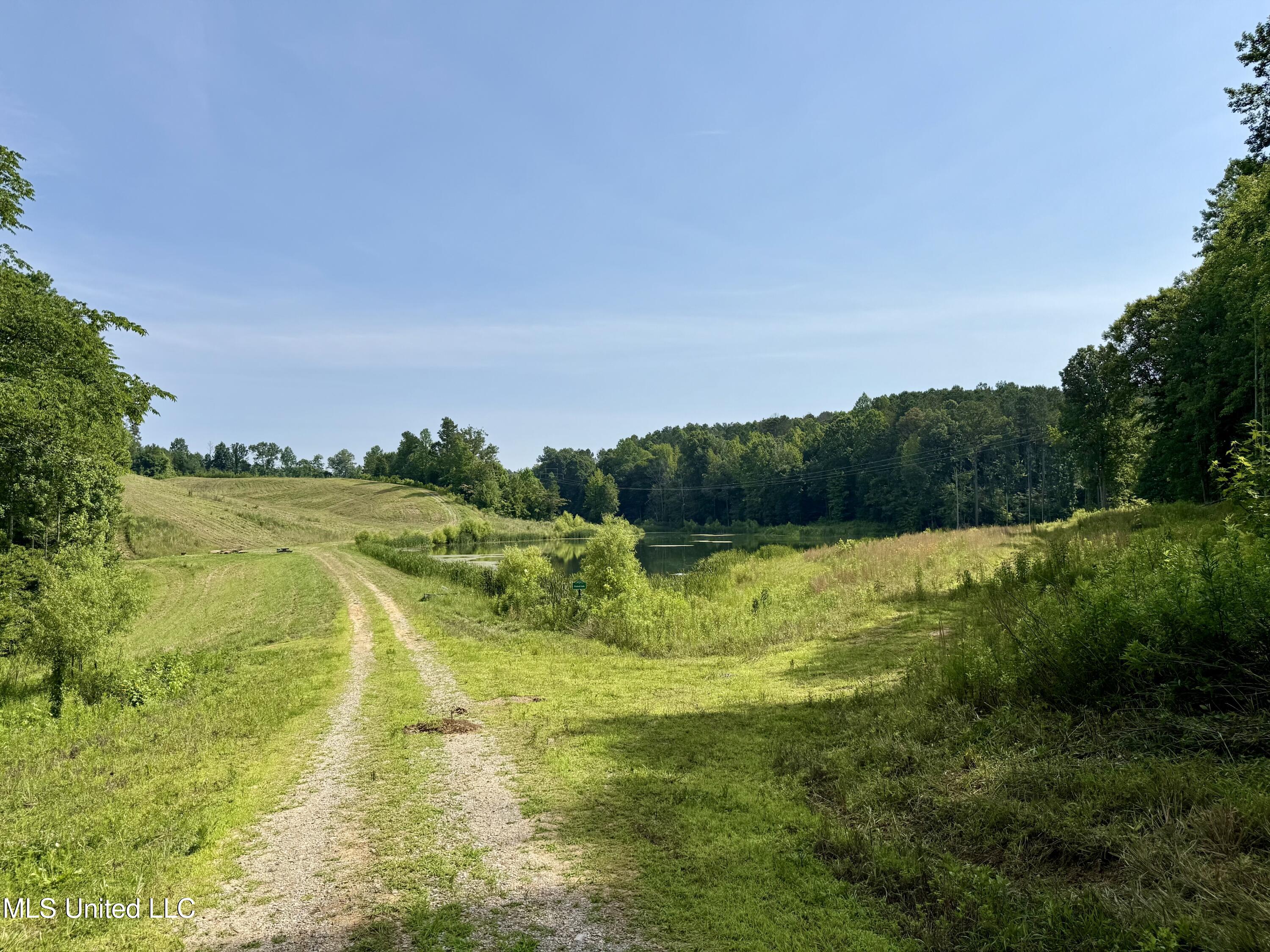 385 Albert Mcmillin Road Property Photo 8
