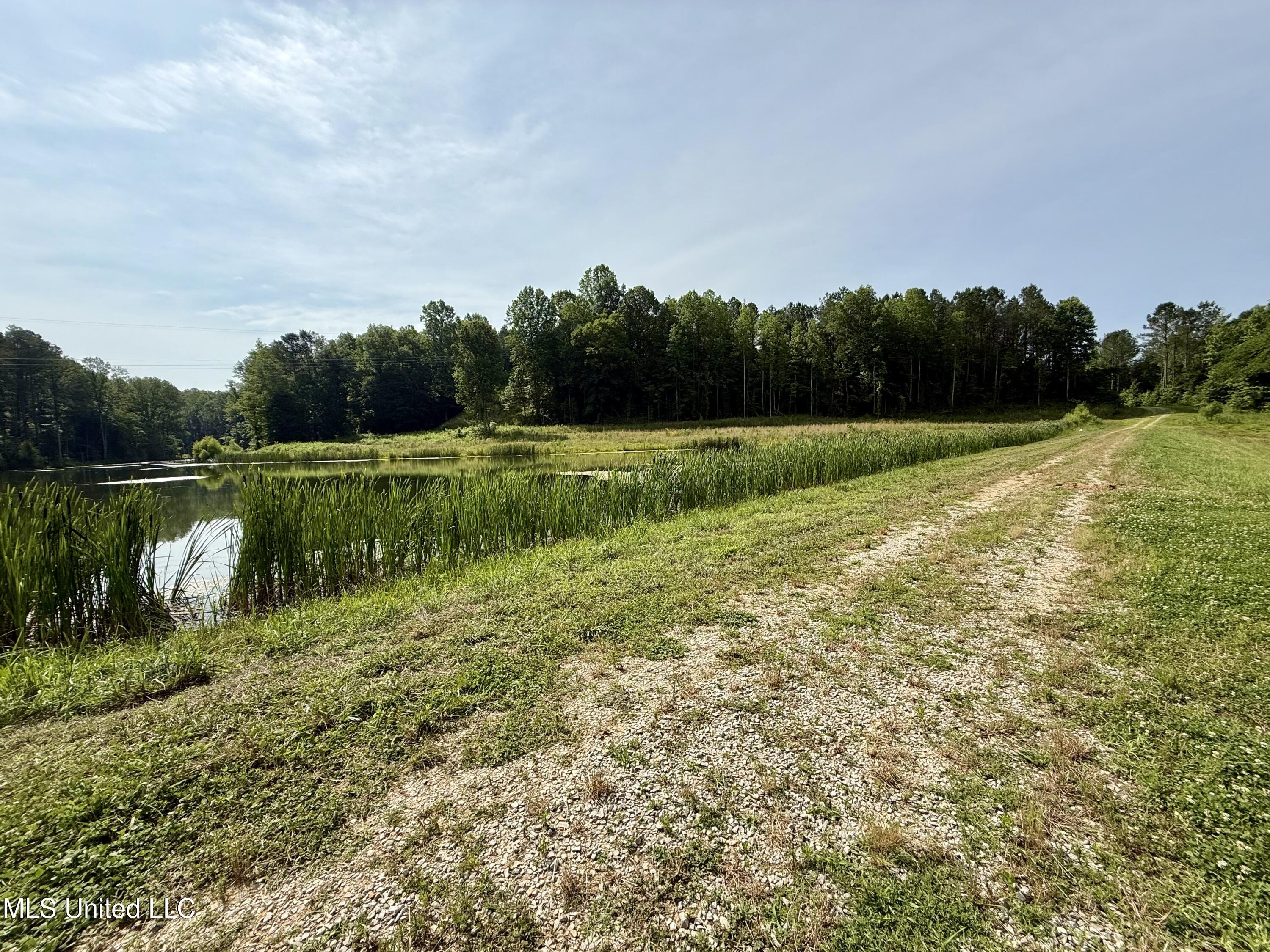 385 Albert Mcmillin Road Property Photo 11