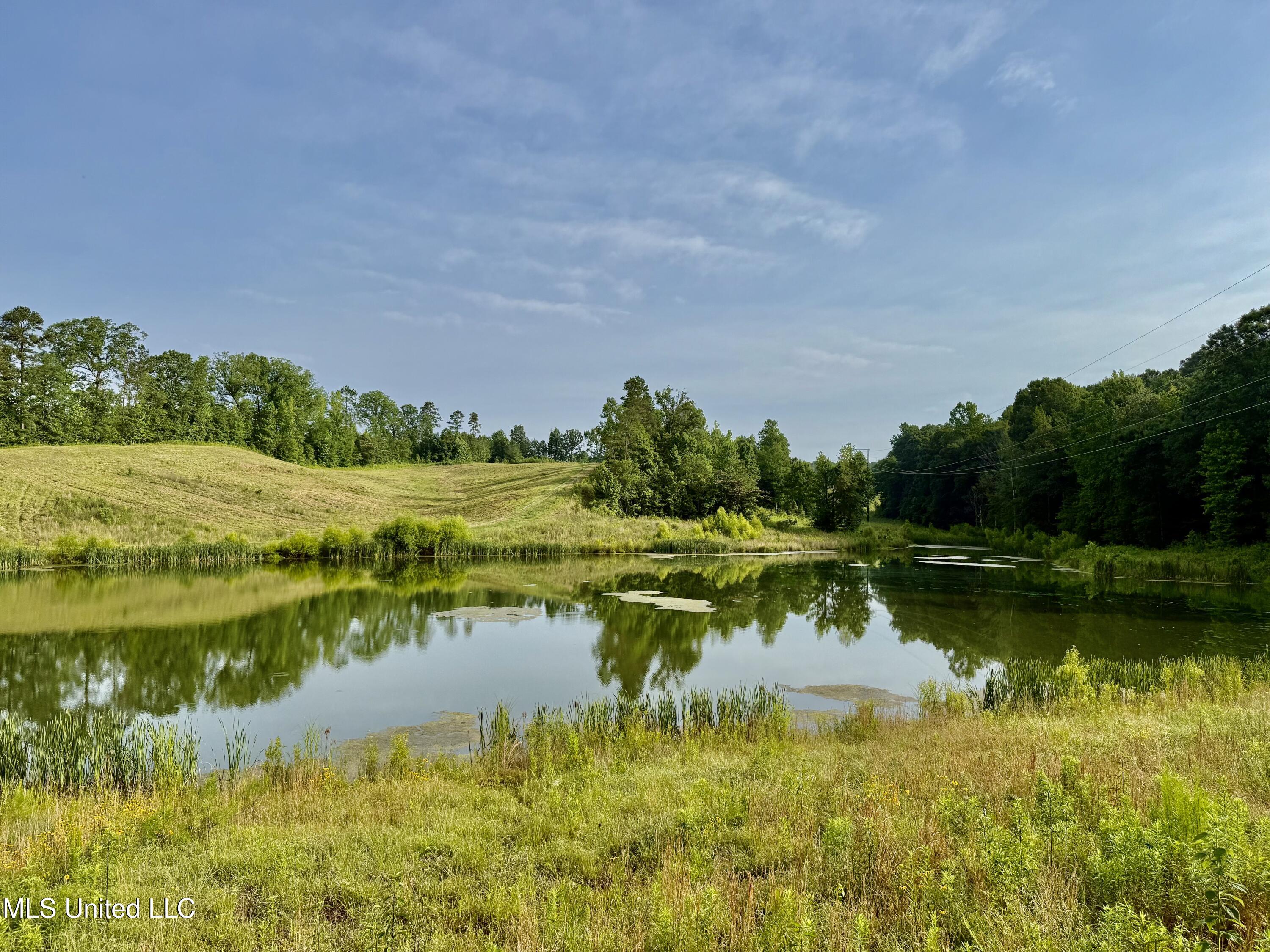 385 Albert Mcmillin Road Property Photo 12