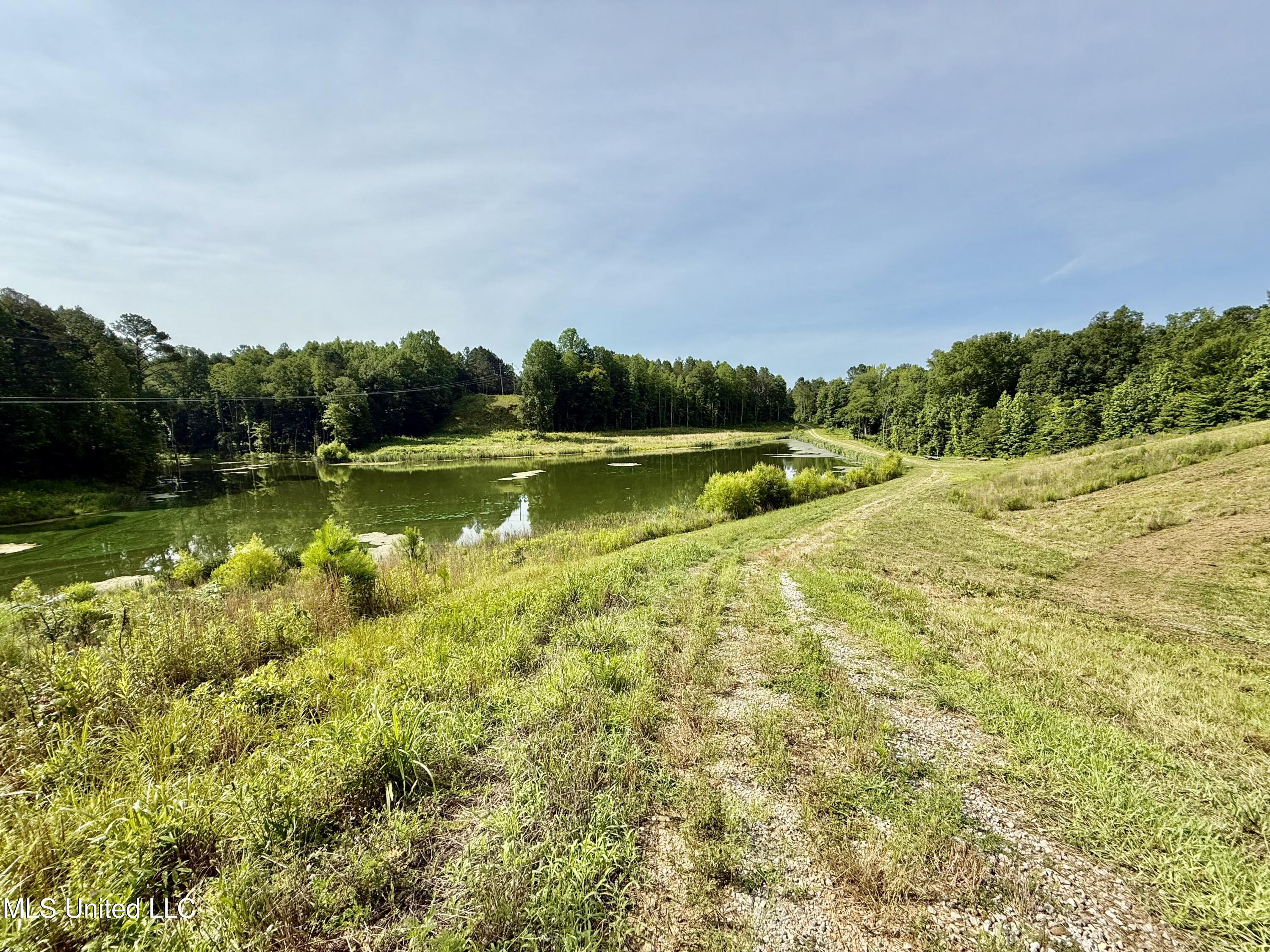 385 Albert Mcmillin Road Property Photo 13