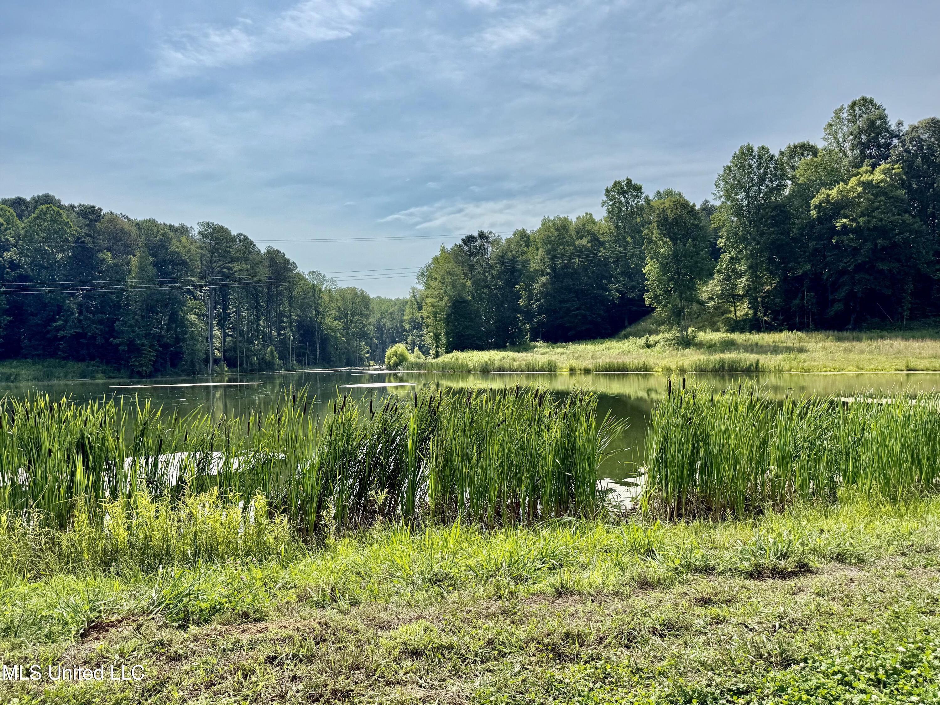 385 Albert Mcmillin Road Property Photo 14