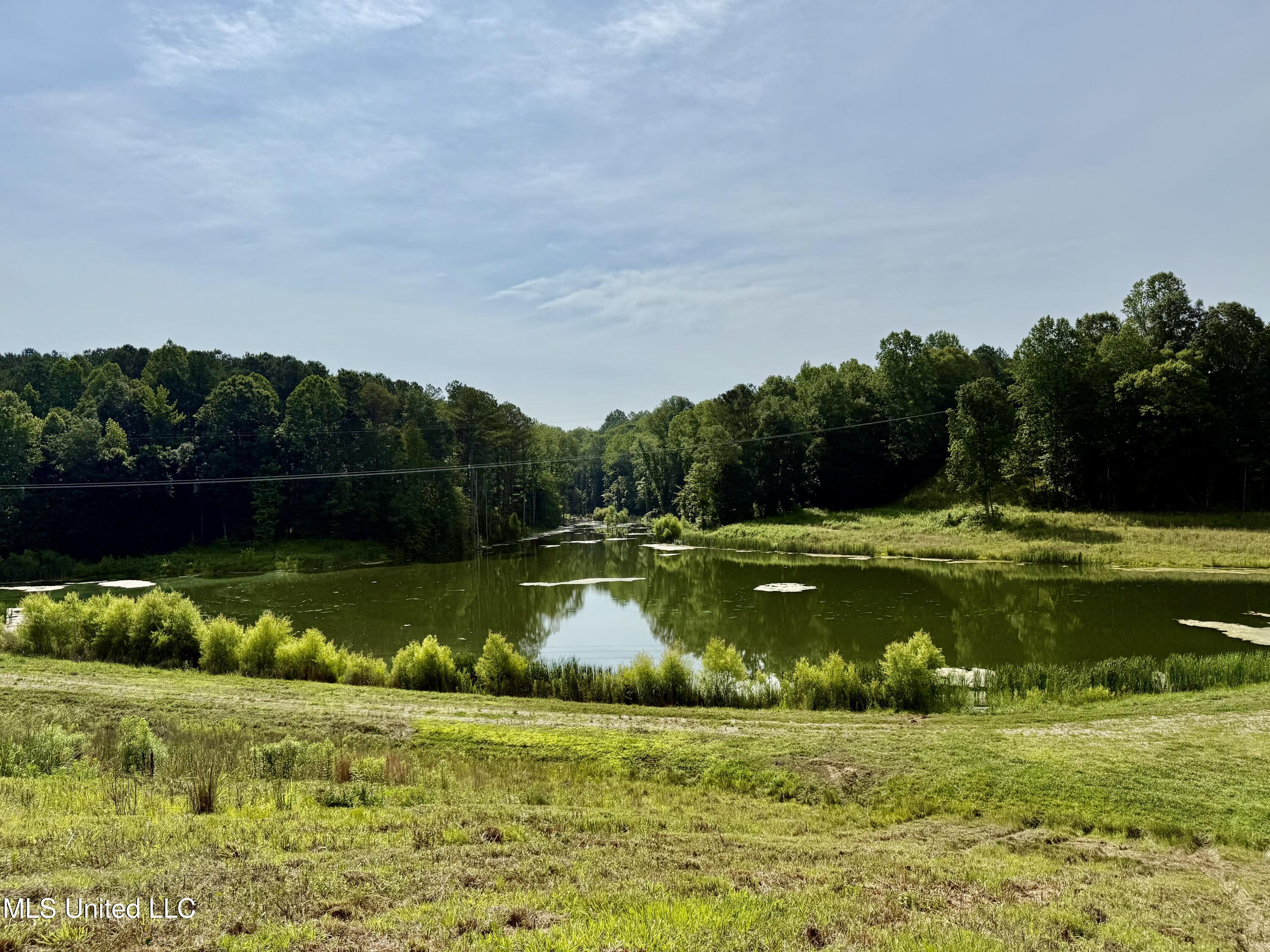 385 Albert Mcmillin Road Property Photo 15