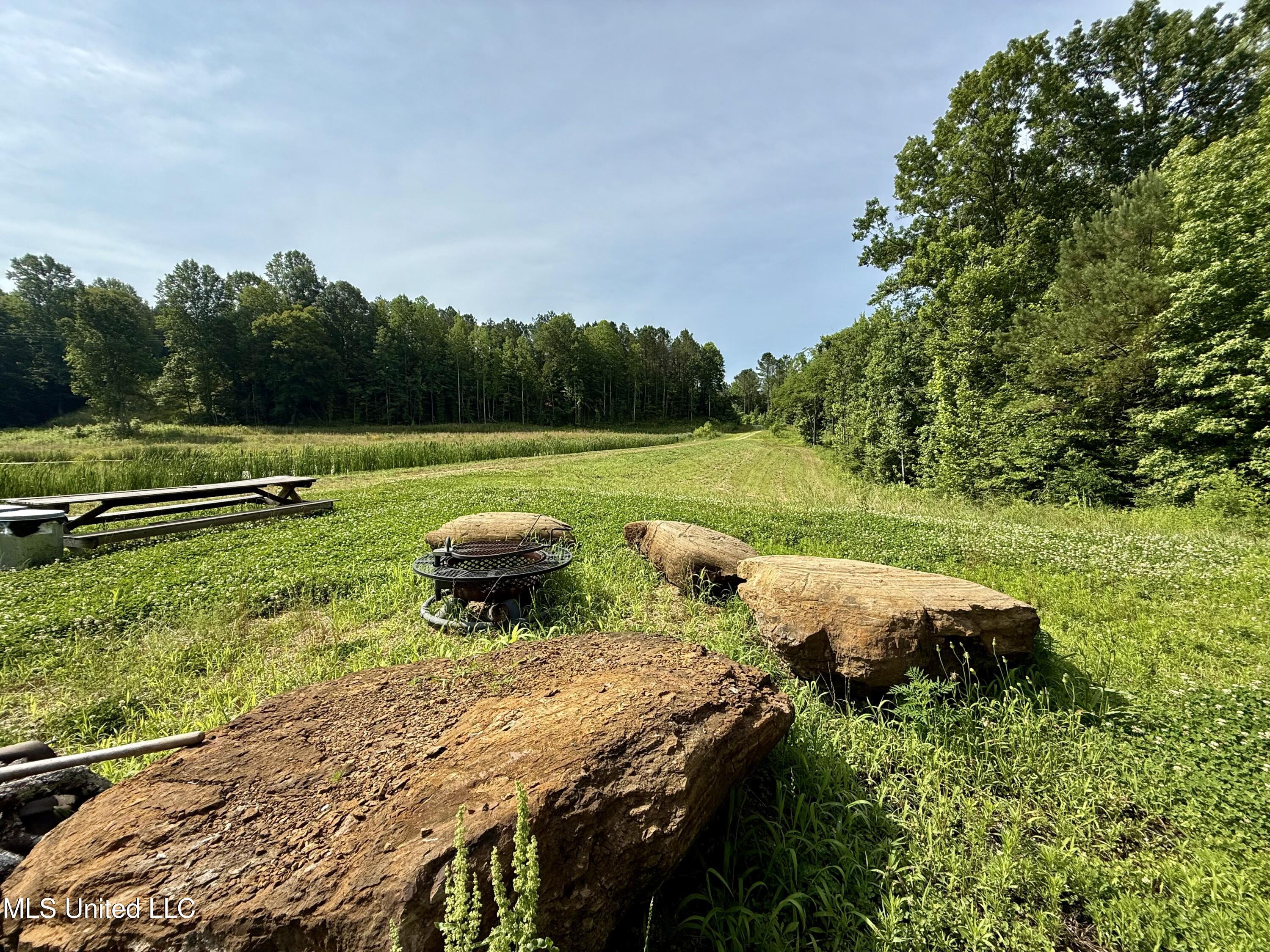 385 Albert Mcmillin Road Property Photo 16