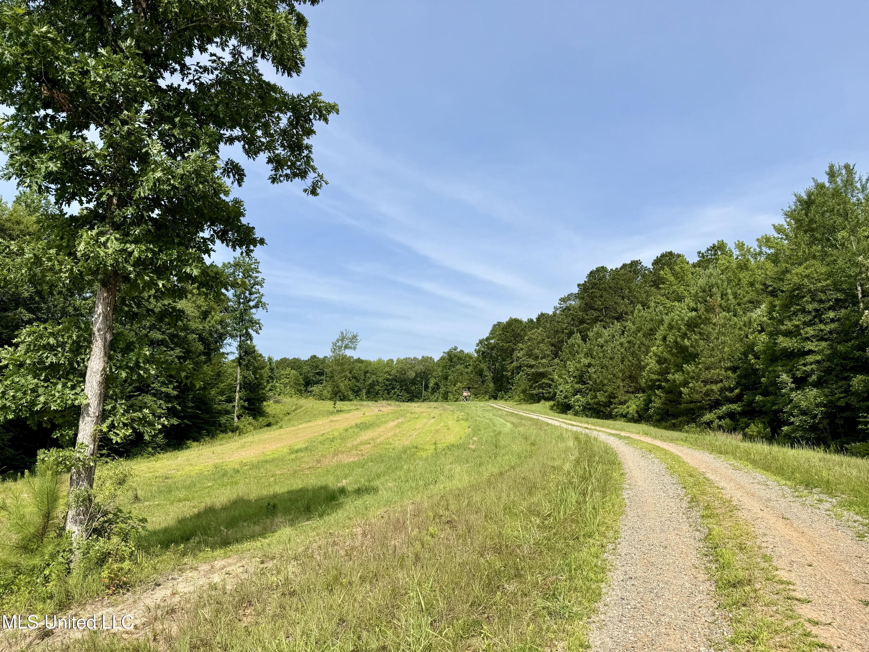 385 Albert Mcmillin Road Property Photo 18