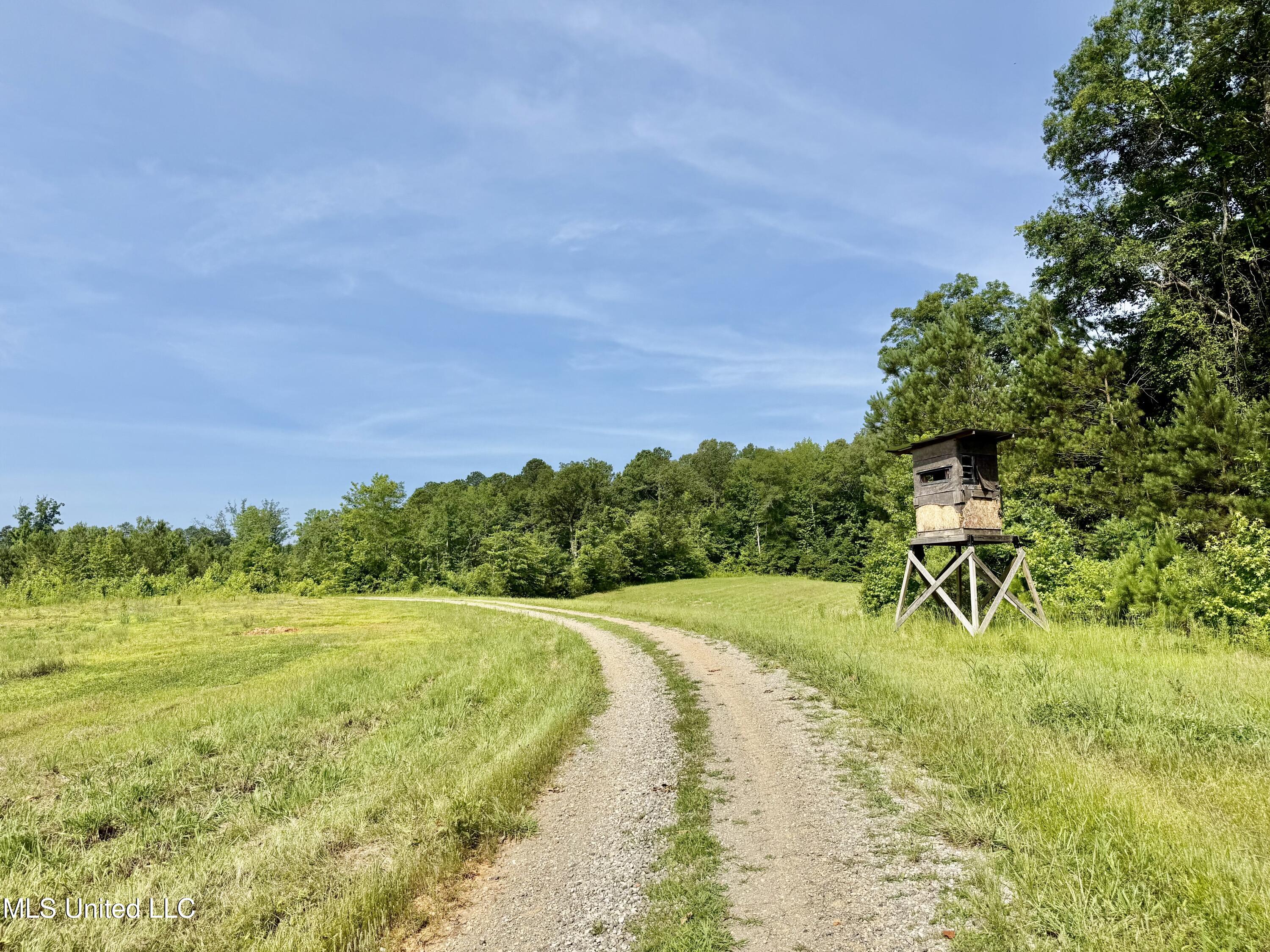 385 Albert Mcmillin Road Property Photo 19