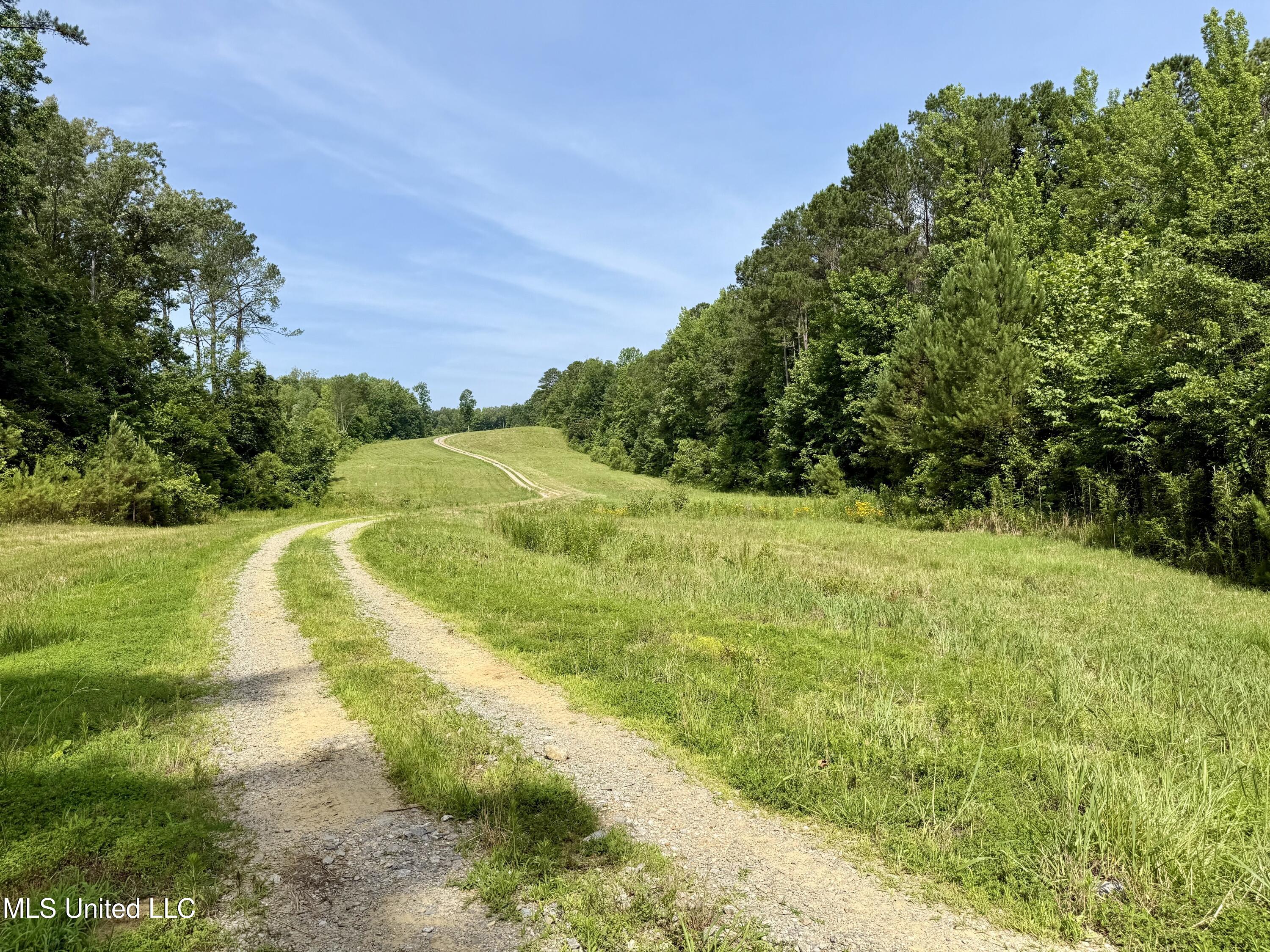385 Albert Mcmillin Road Property Photo 21
