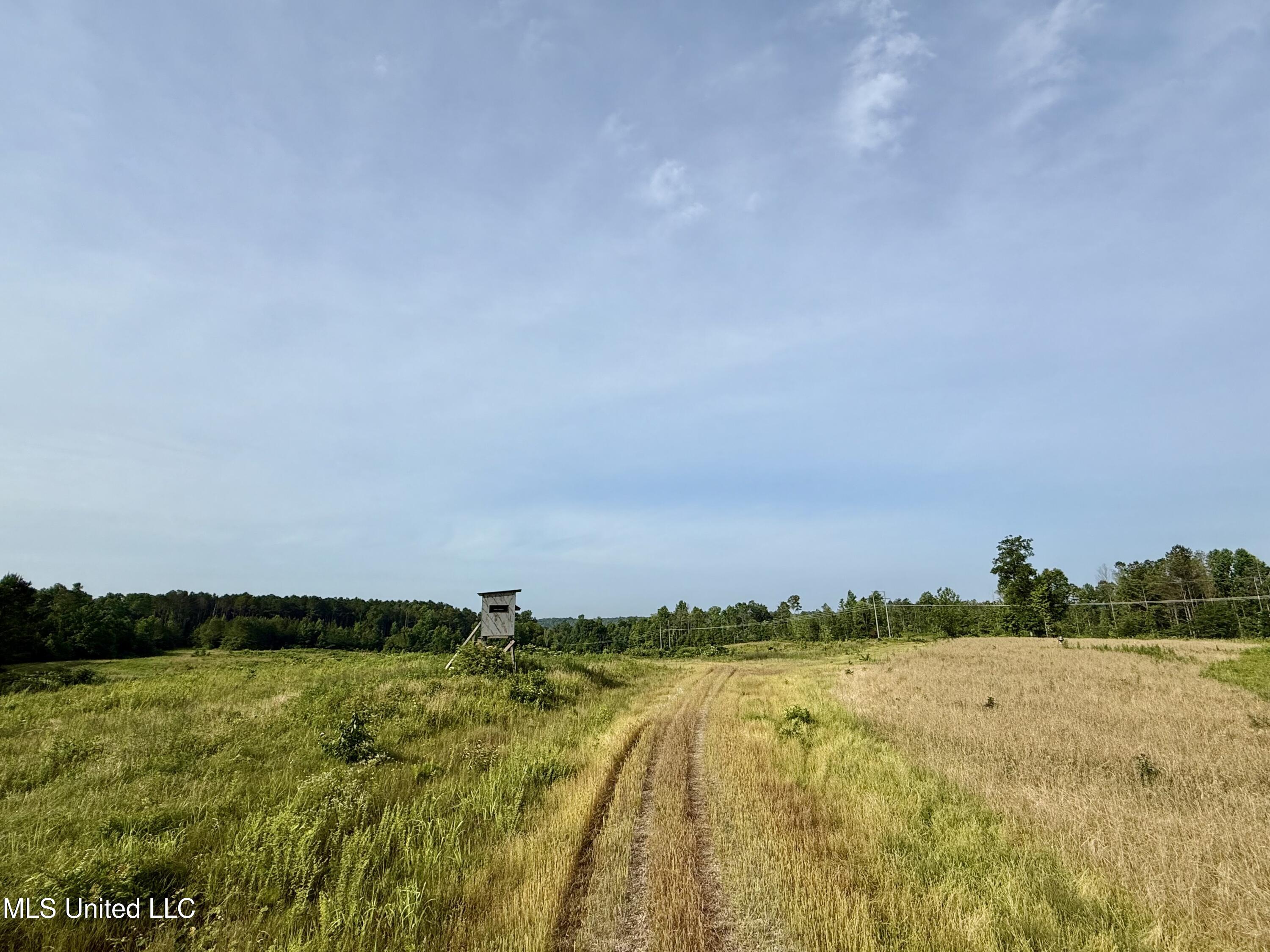 385 Albert Mcmillin Road Property Photo 23
