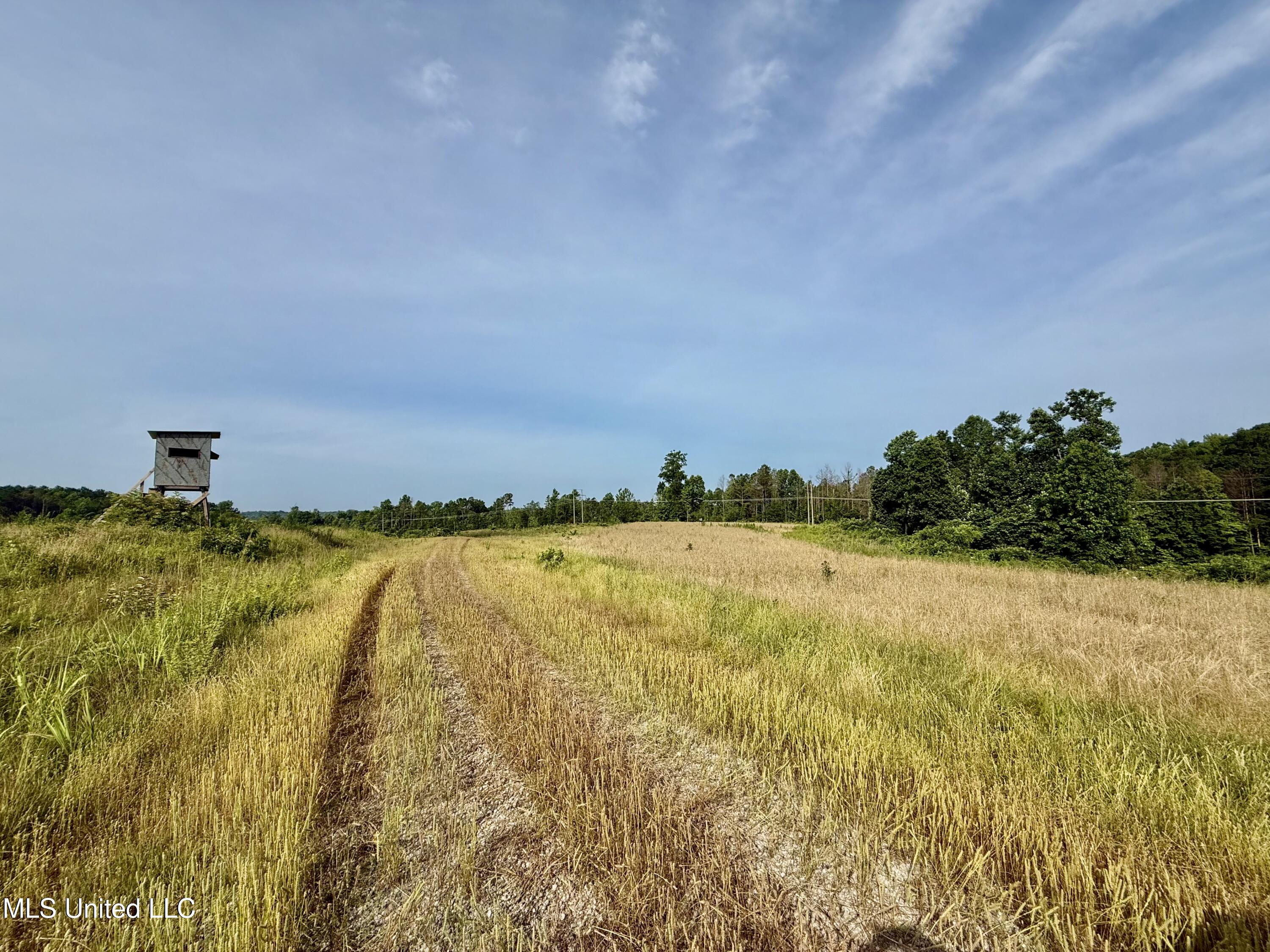 385 Albert Mcmillin Road Property Photo 24