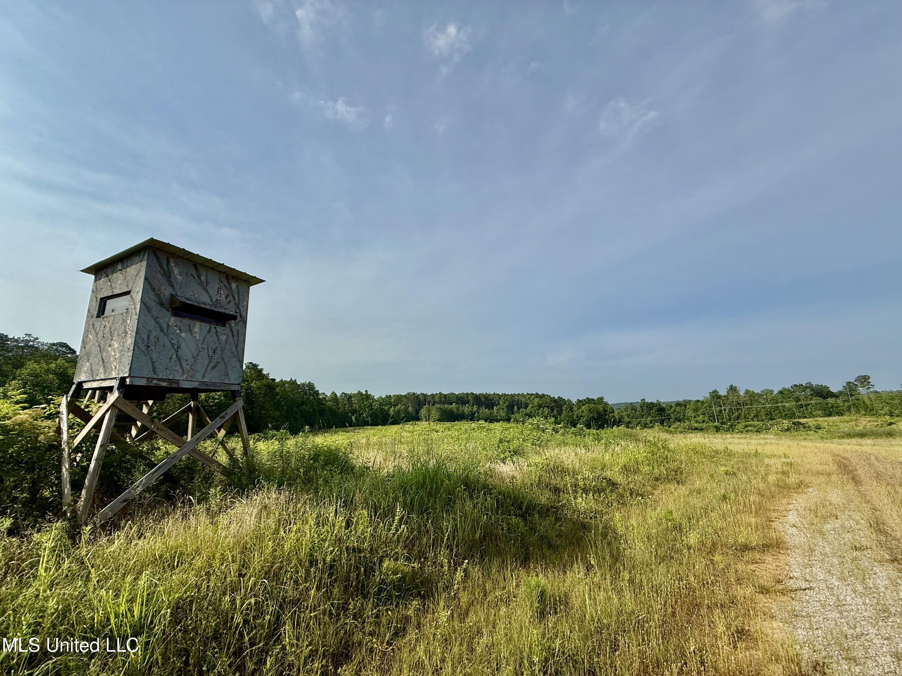 385 Albert Mcmillin Road Property Photo 25