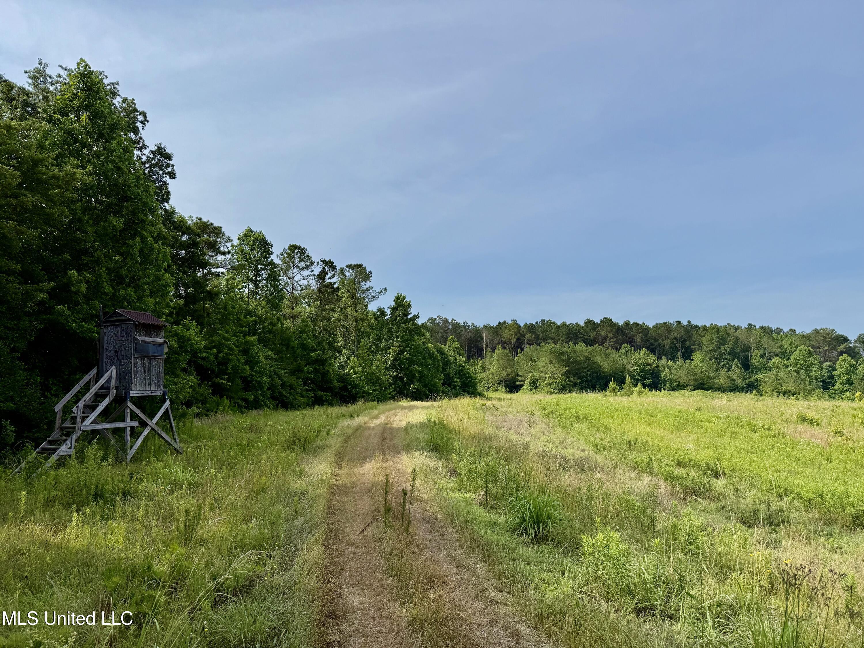 385 Albert Mcmillin Road Property Photo 28