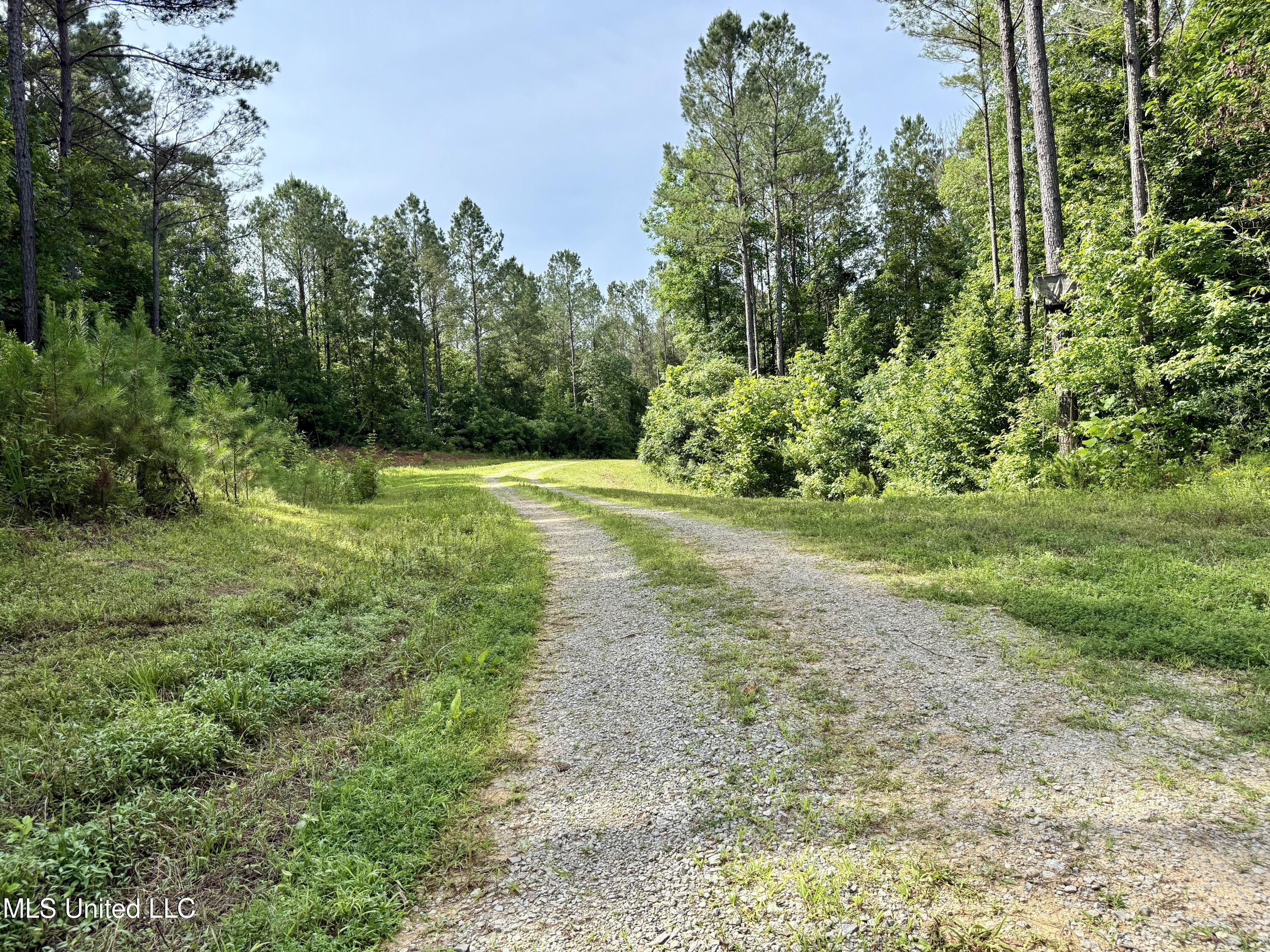 385 Albert Mcmillin Road Property Photo 29