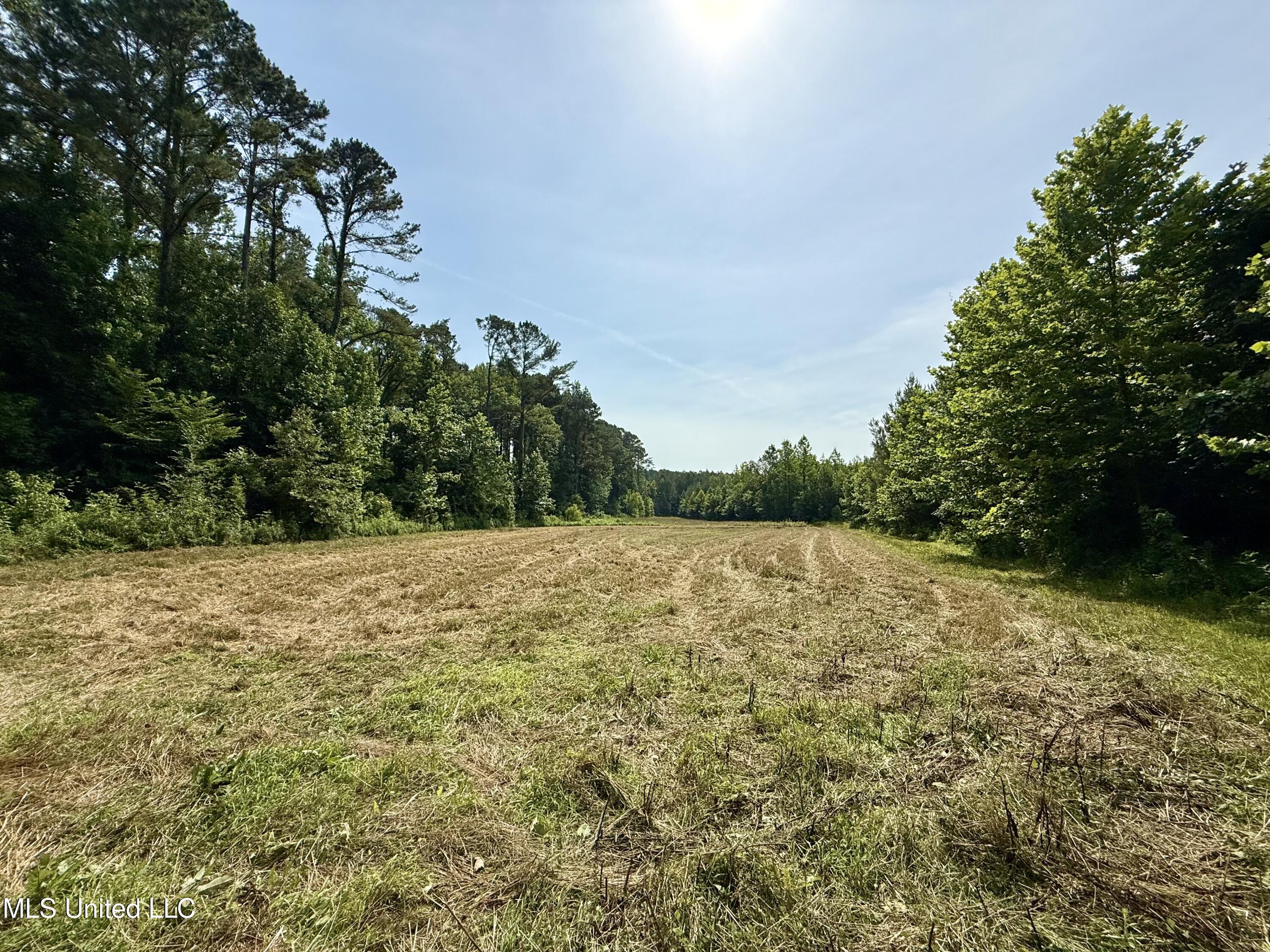 385 Albert Mcmillin Road Property Photo 30
