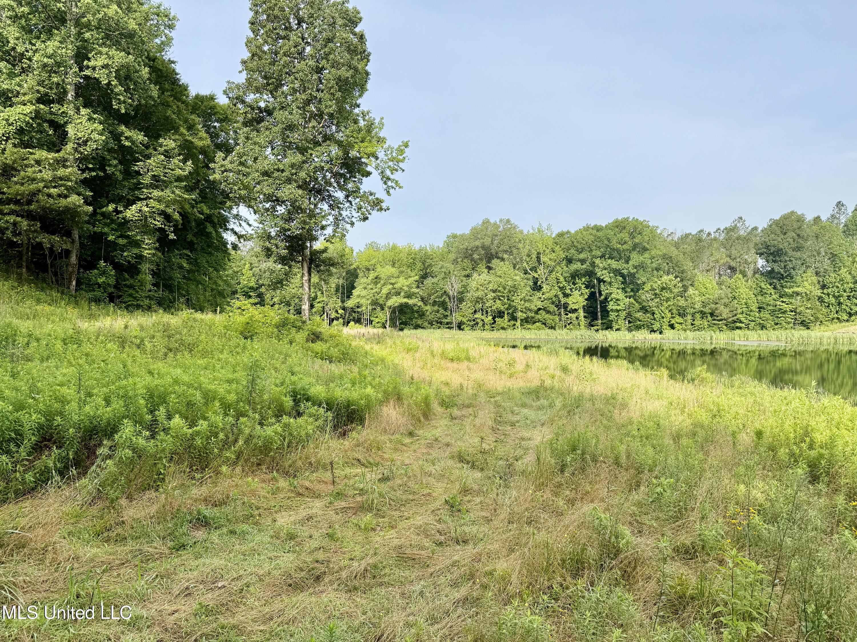 385 Albert Mcmillin Road Property Photo 31