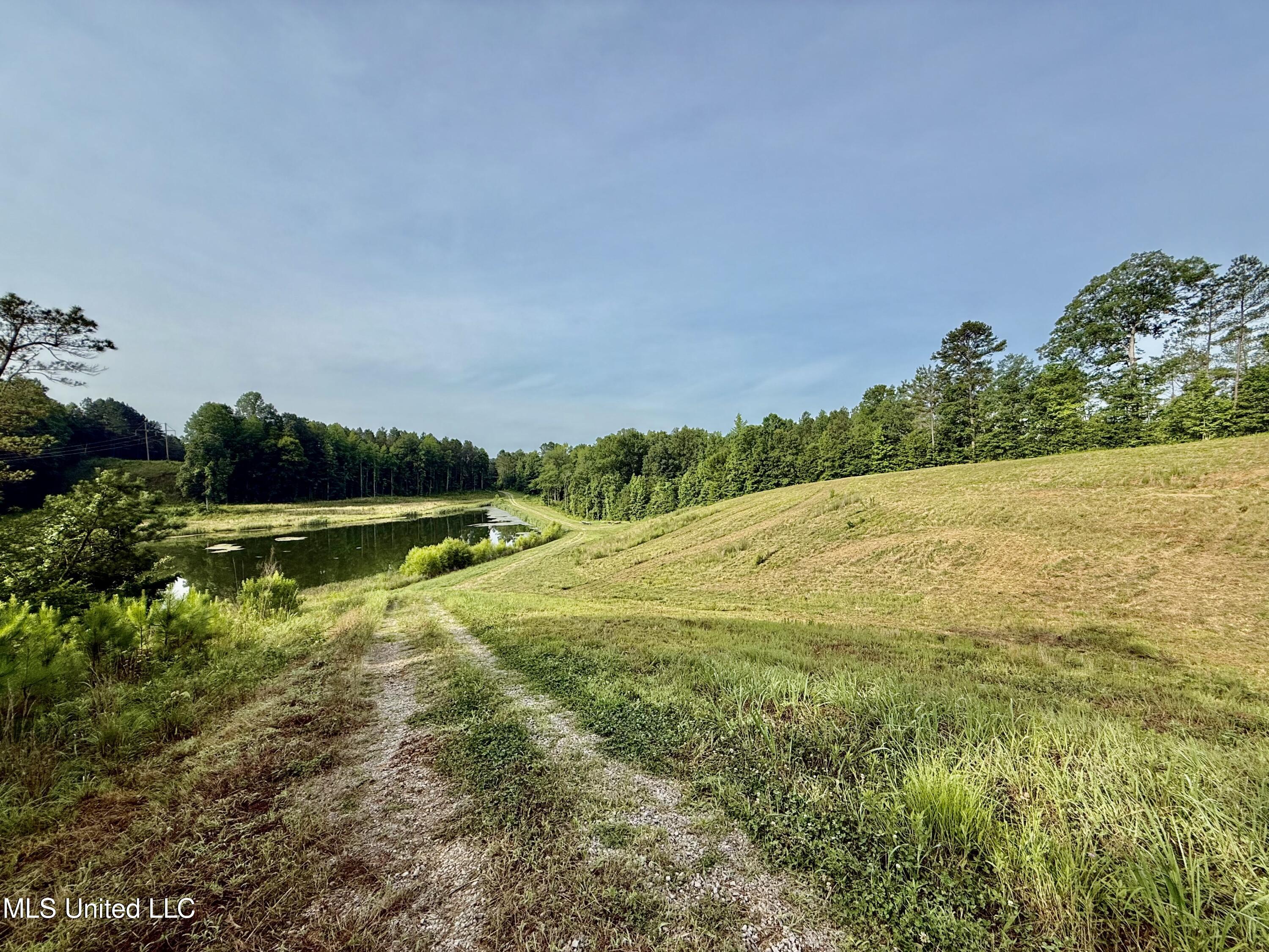 385 Albert Mcmillin Road Property Photo 32