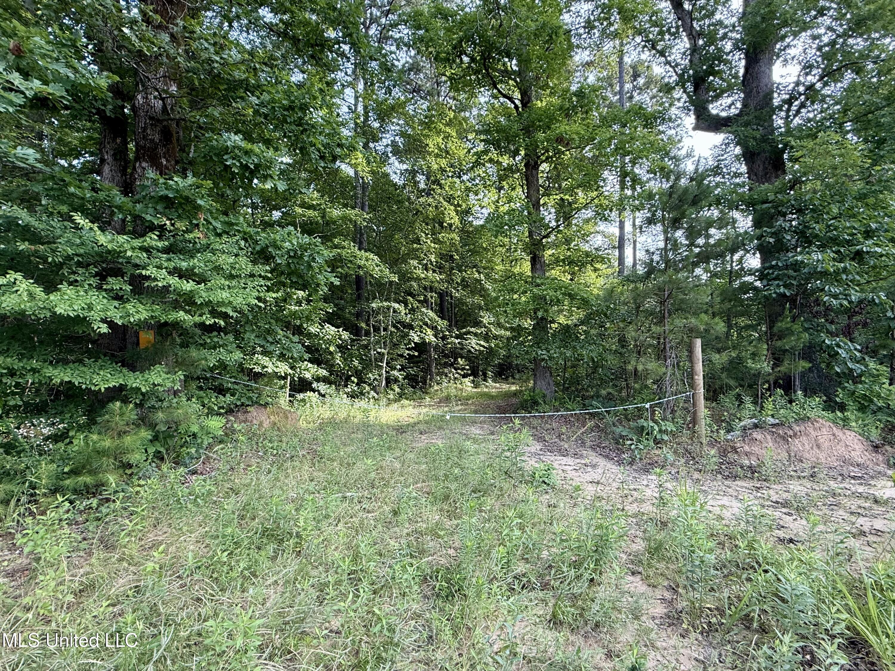 385 Albert Mcmillin Road Property Photo 33