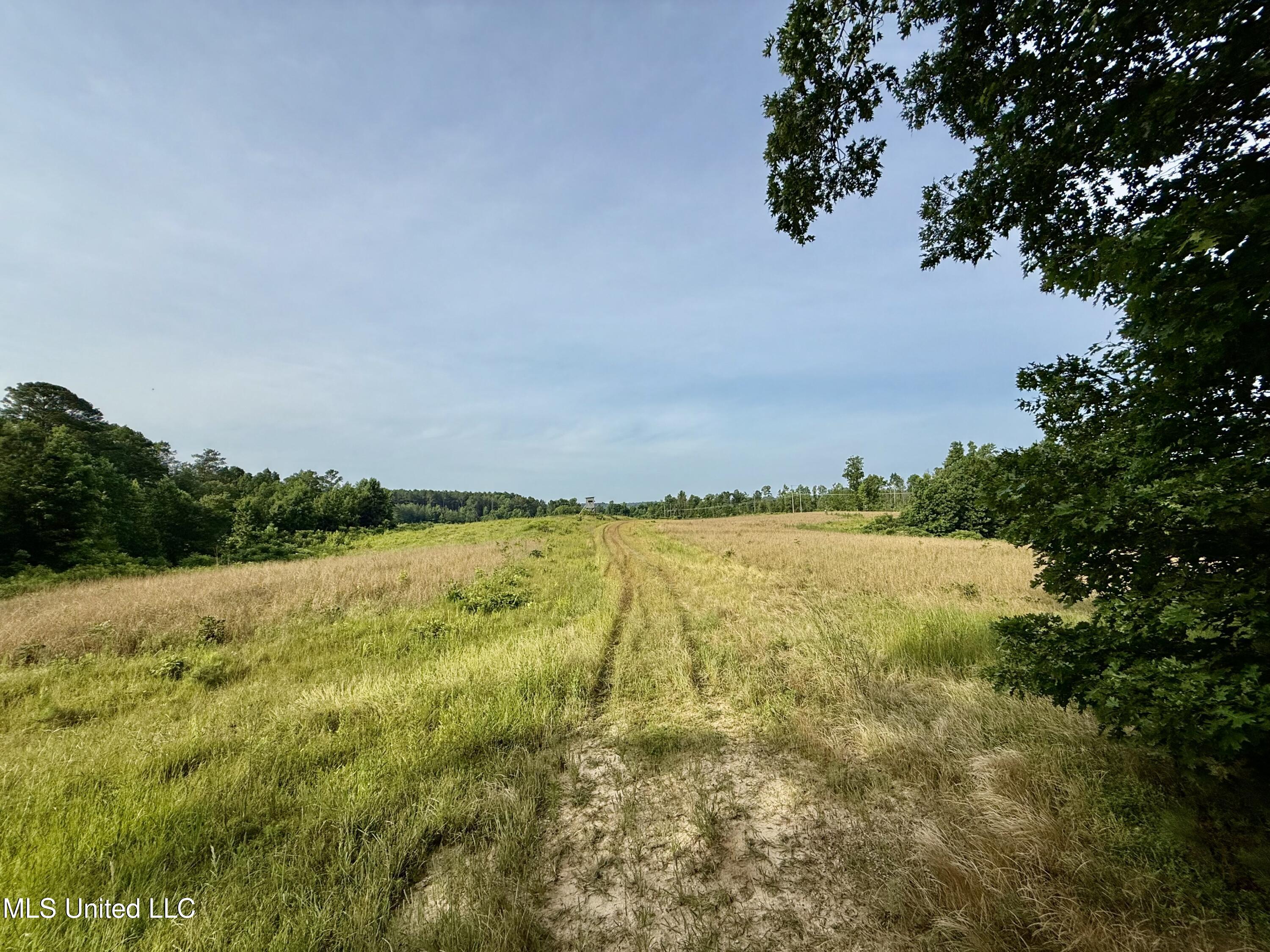 385 Albert Mcmillin Road Property Photo 34