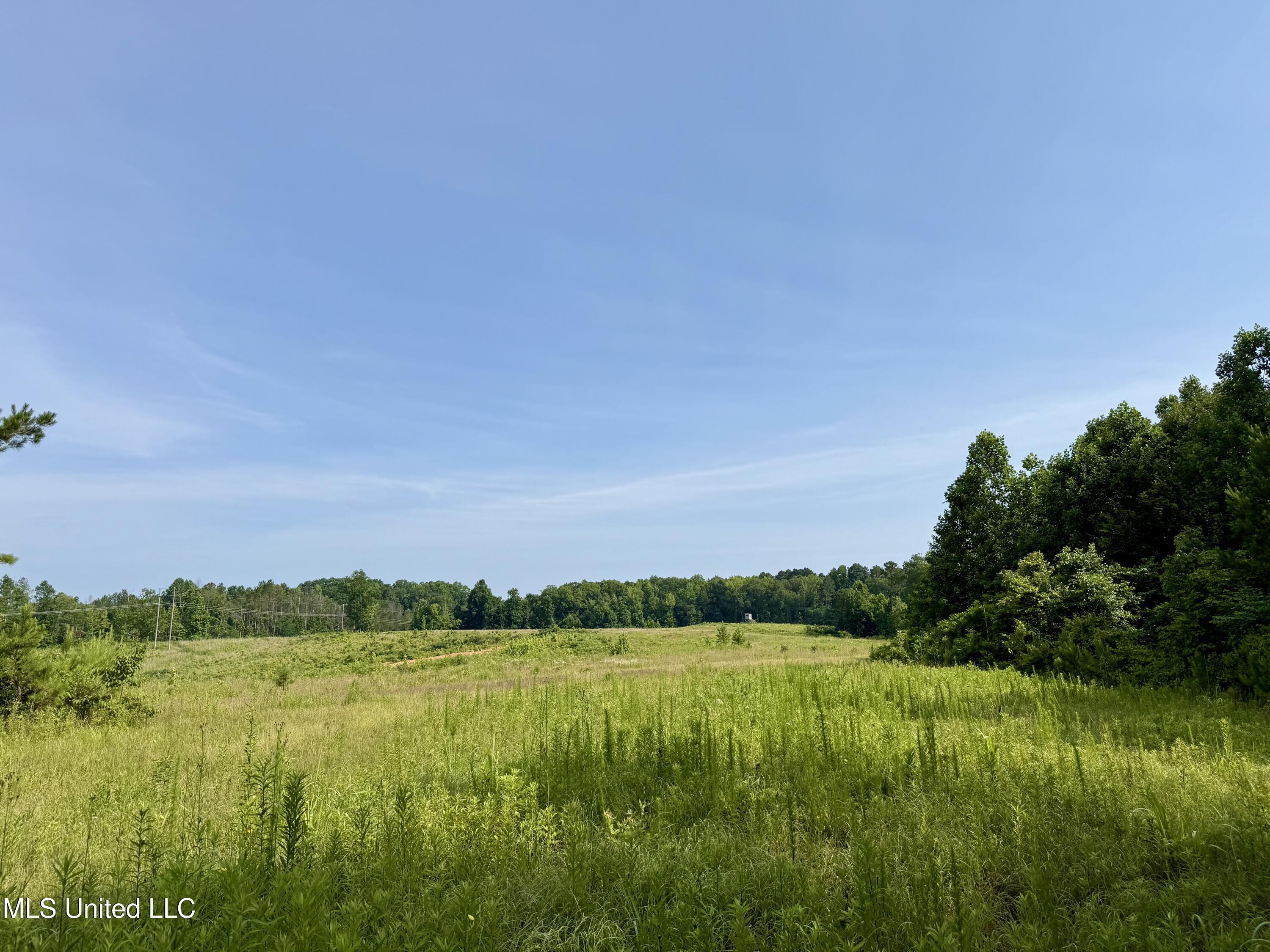385 Albert Mcmillin Road Property Photo 38