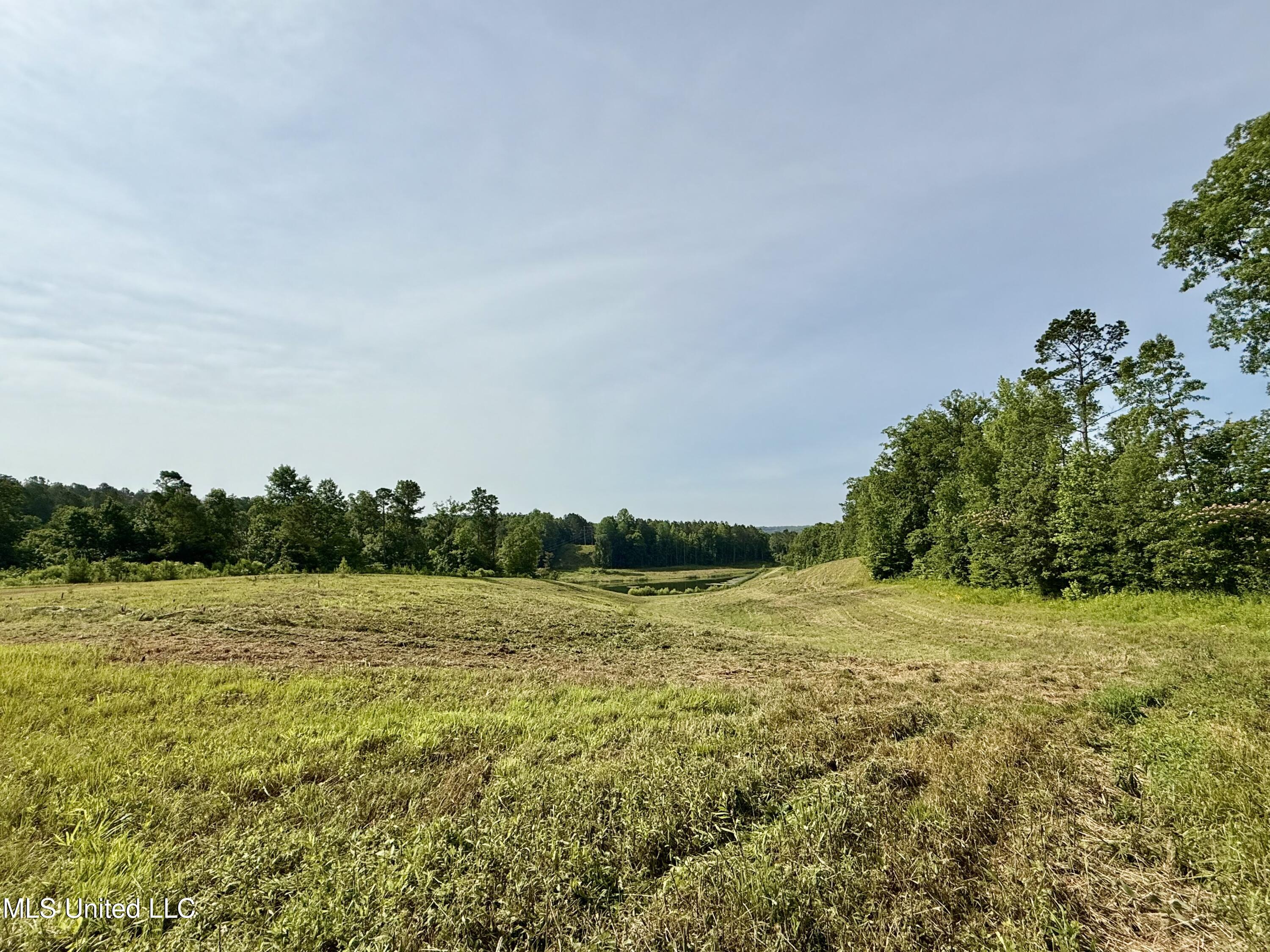 385 Albert Mcmillin Road Property Photo 39