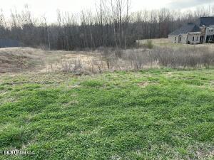 447 E Byhalia Creek Farms Road Property Photo 1
