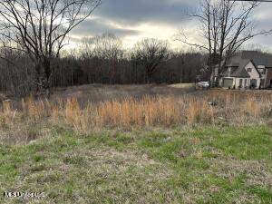 7222 Vaiden Road Property Photo 1