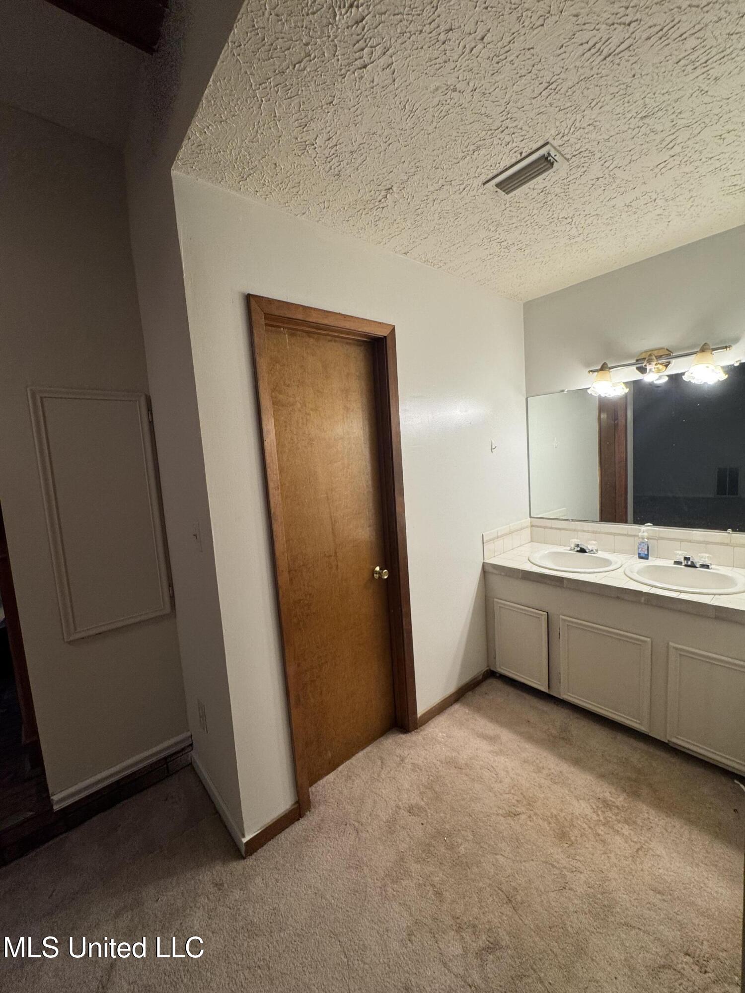 219 Lake Cove Drive Property Photo 19