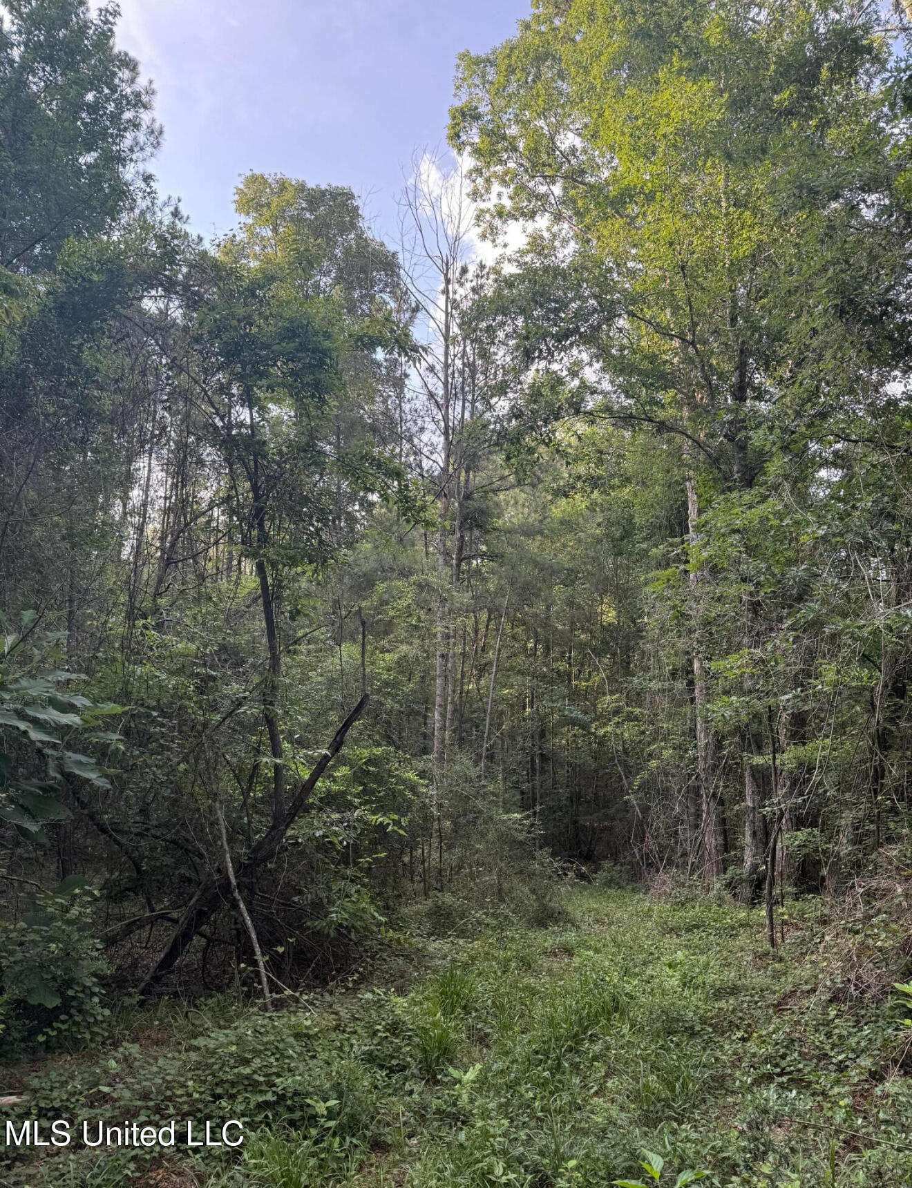 40 Acres Hwy 35 Property Photo 10