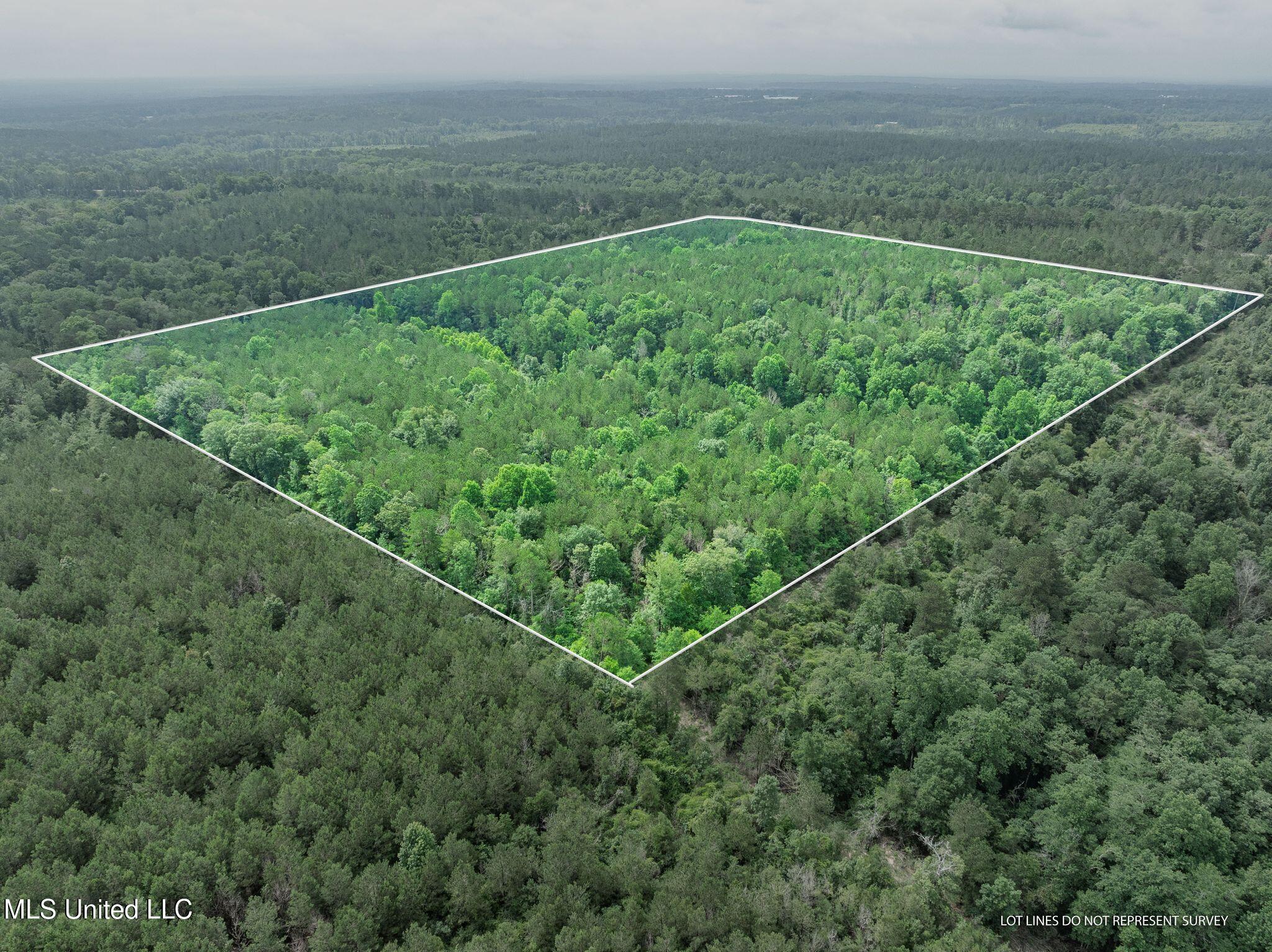 40 Acres Hwy 35 Property Photo 13
