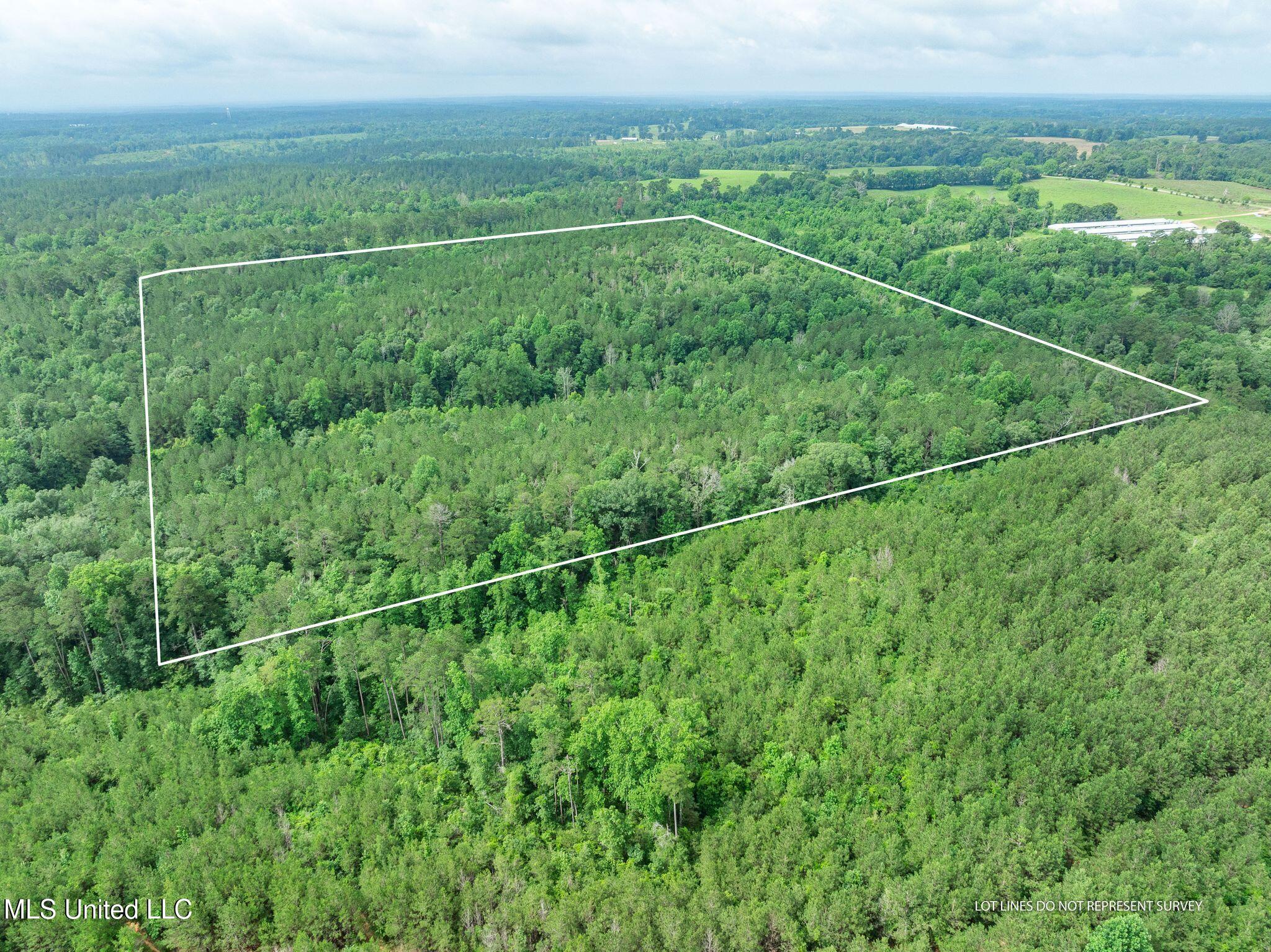 40 Acres Hwy 35 Property Photo 14