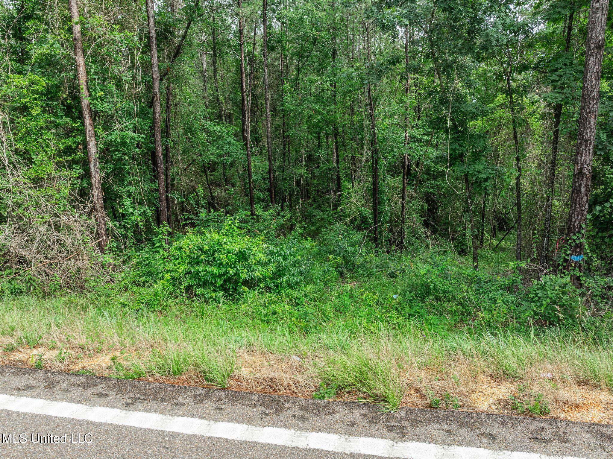 40 Acres Hwy 35 Property Photo 15