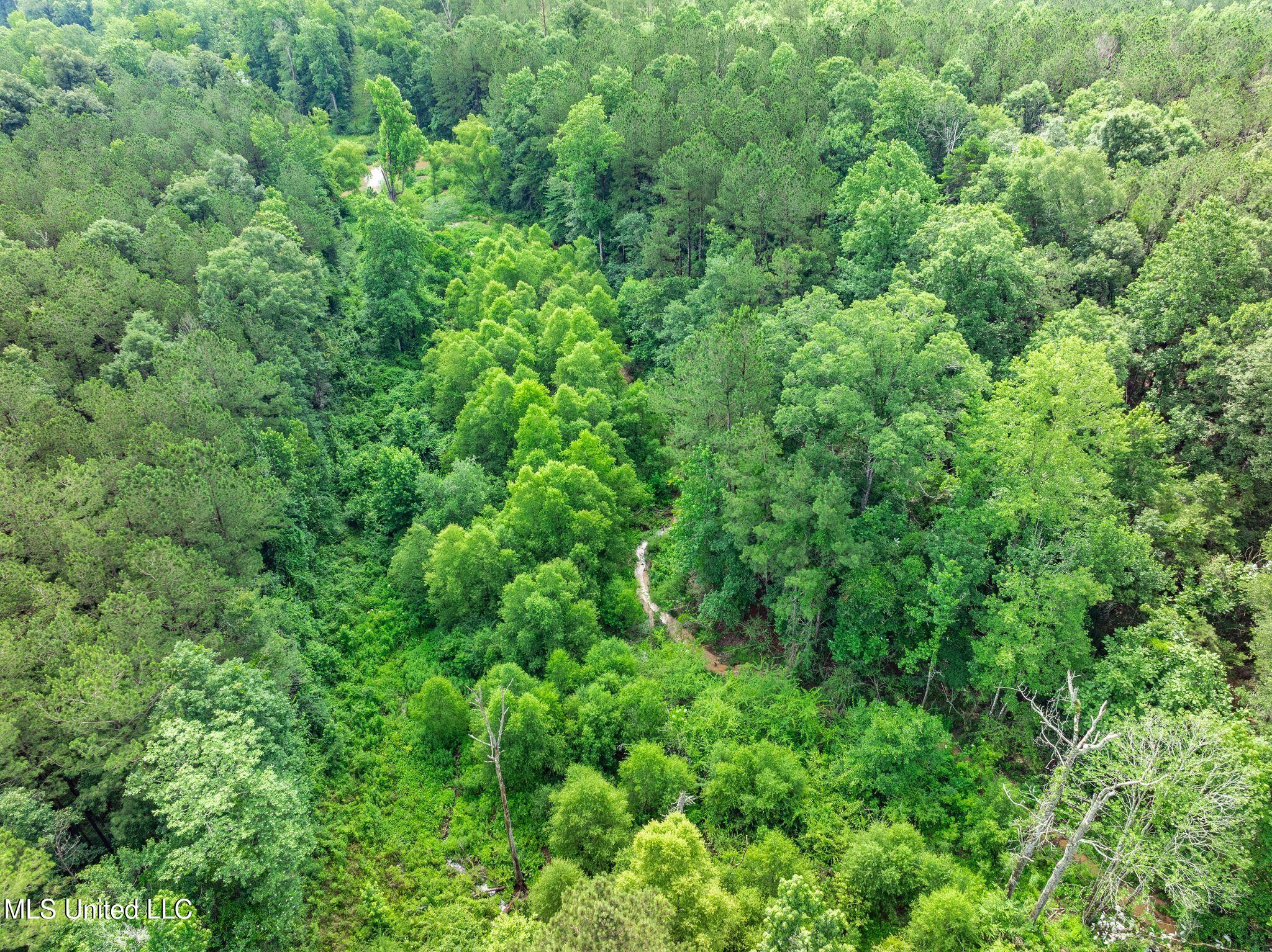 40 Acres Hwy 35 Property Photo 16