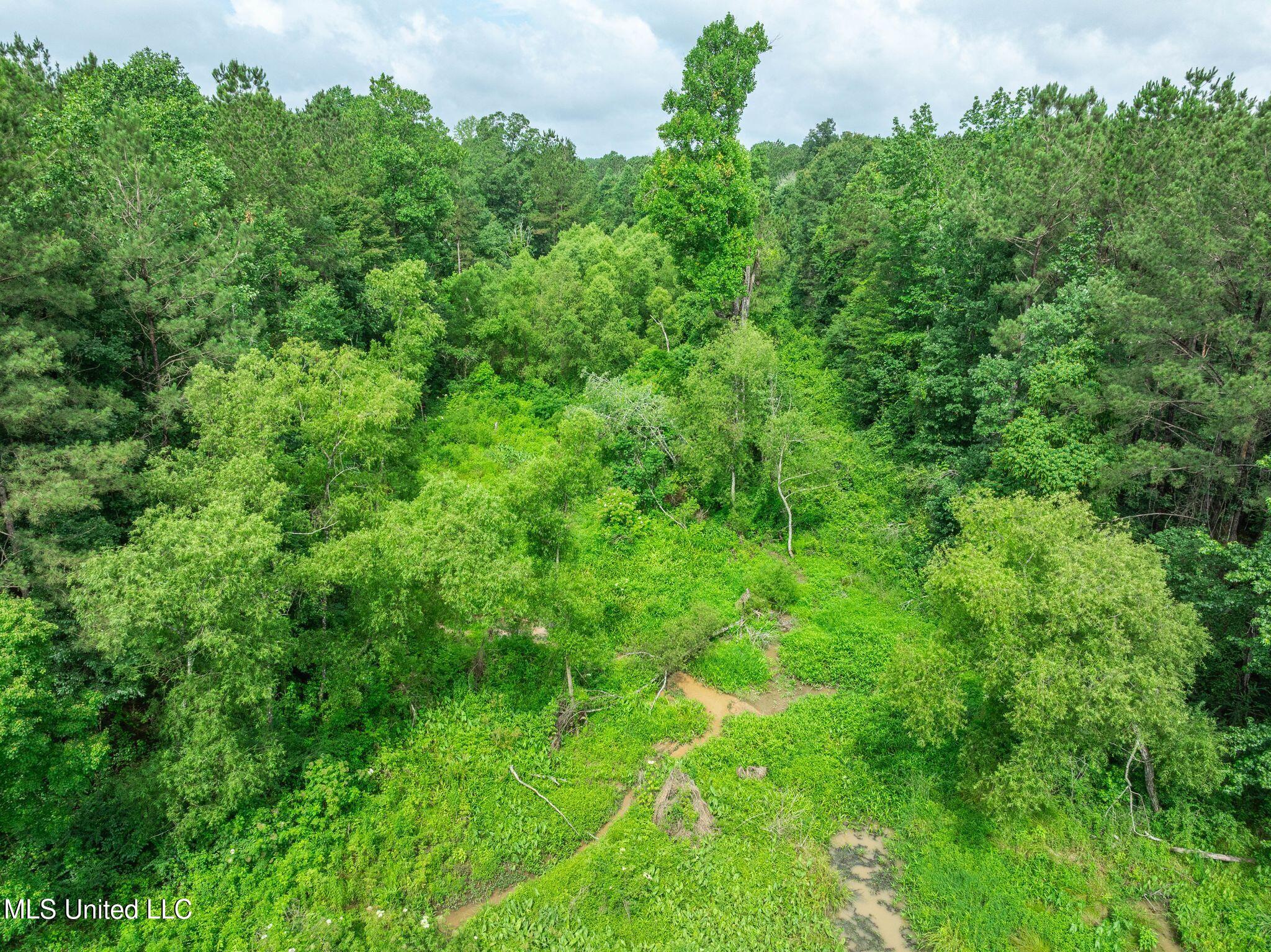 40 Acres Hwy 35 Property Photo 17