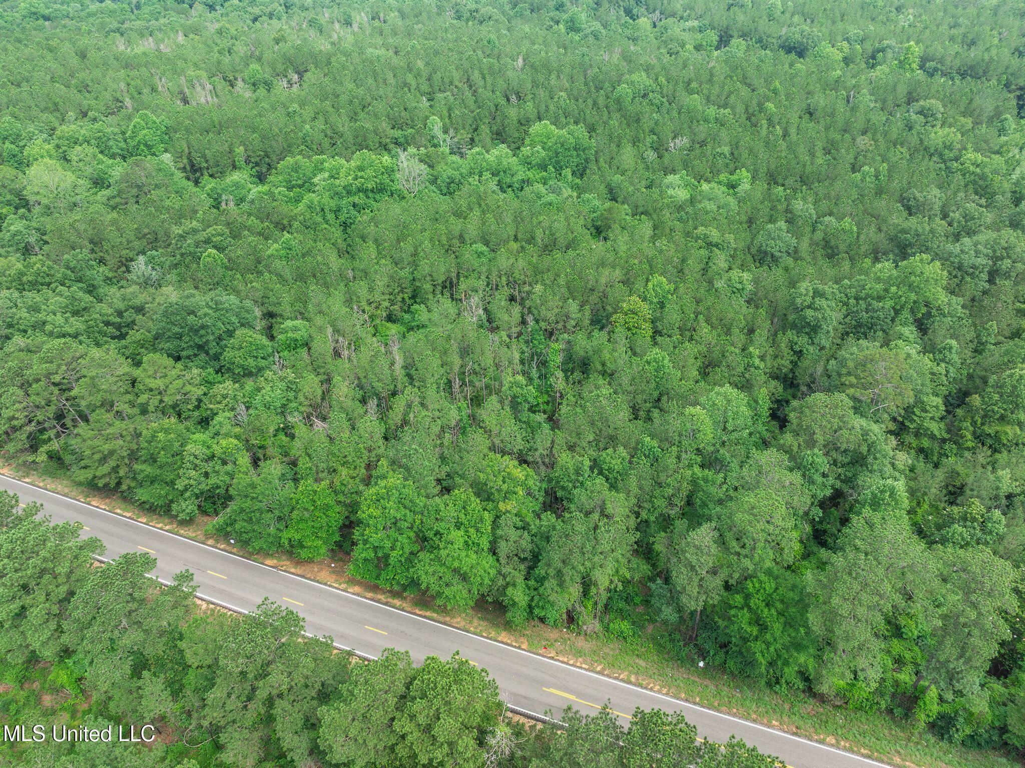 40 Acres Hwy 35 Property Photo 18