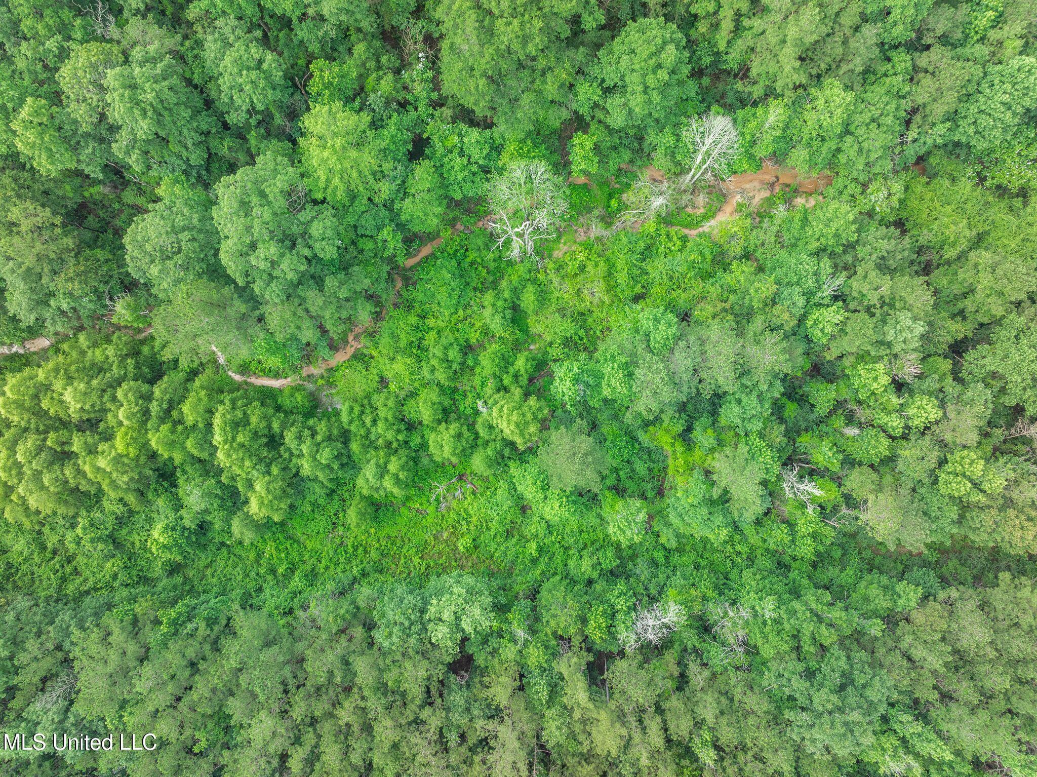 40 Acres Hwy 35 Property Photo 21