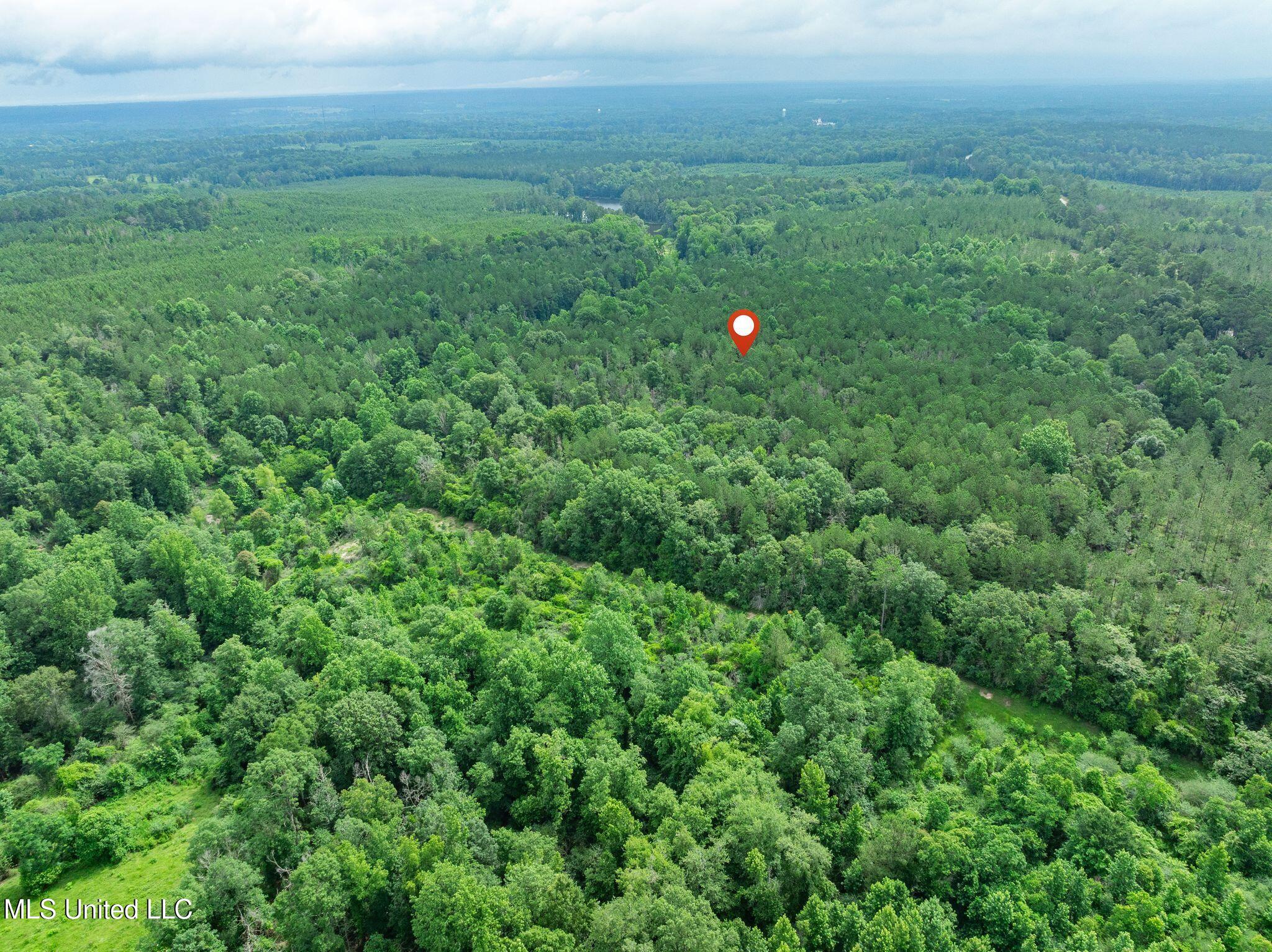 40 Acres Hwy 35 Property Photo 24