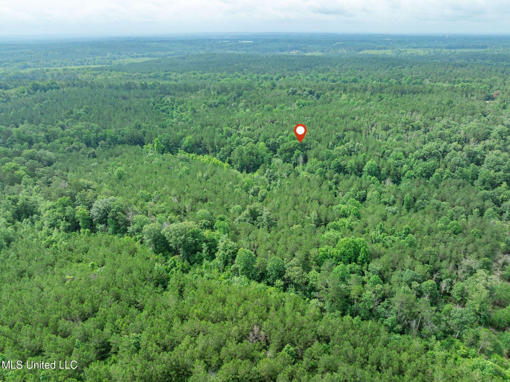40 Acres Hwy 35 Property Photo 25