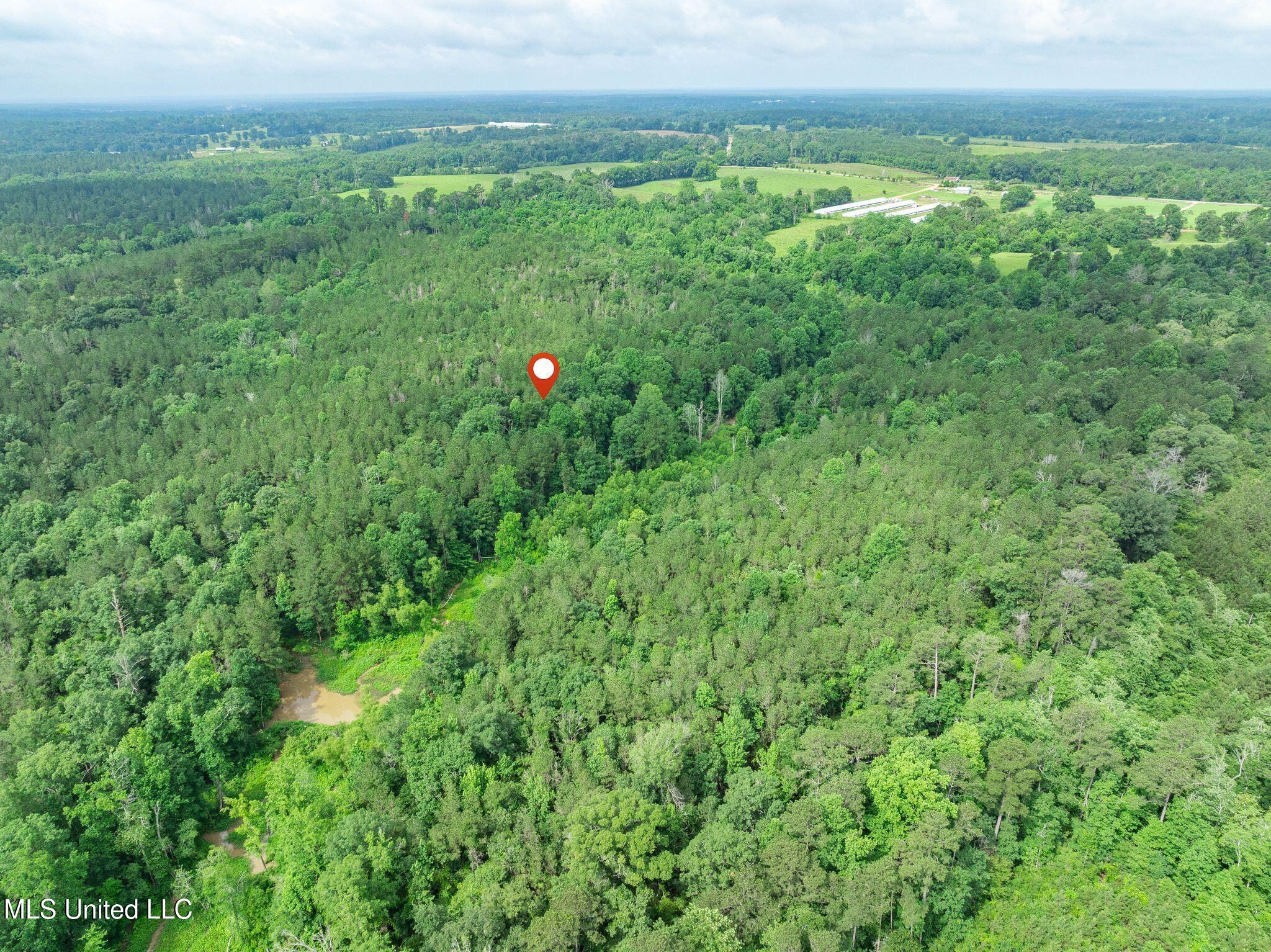 40 Acres Hwy 35 Property Photo 26